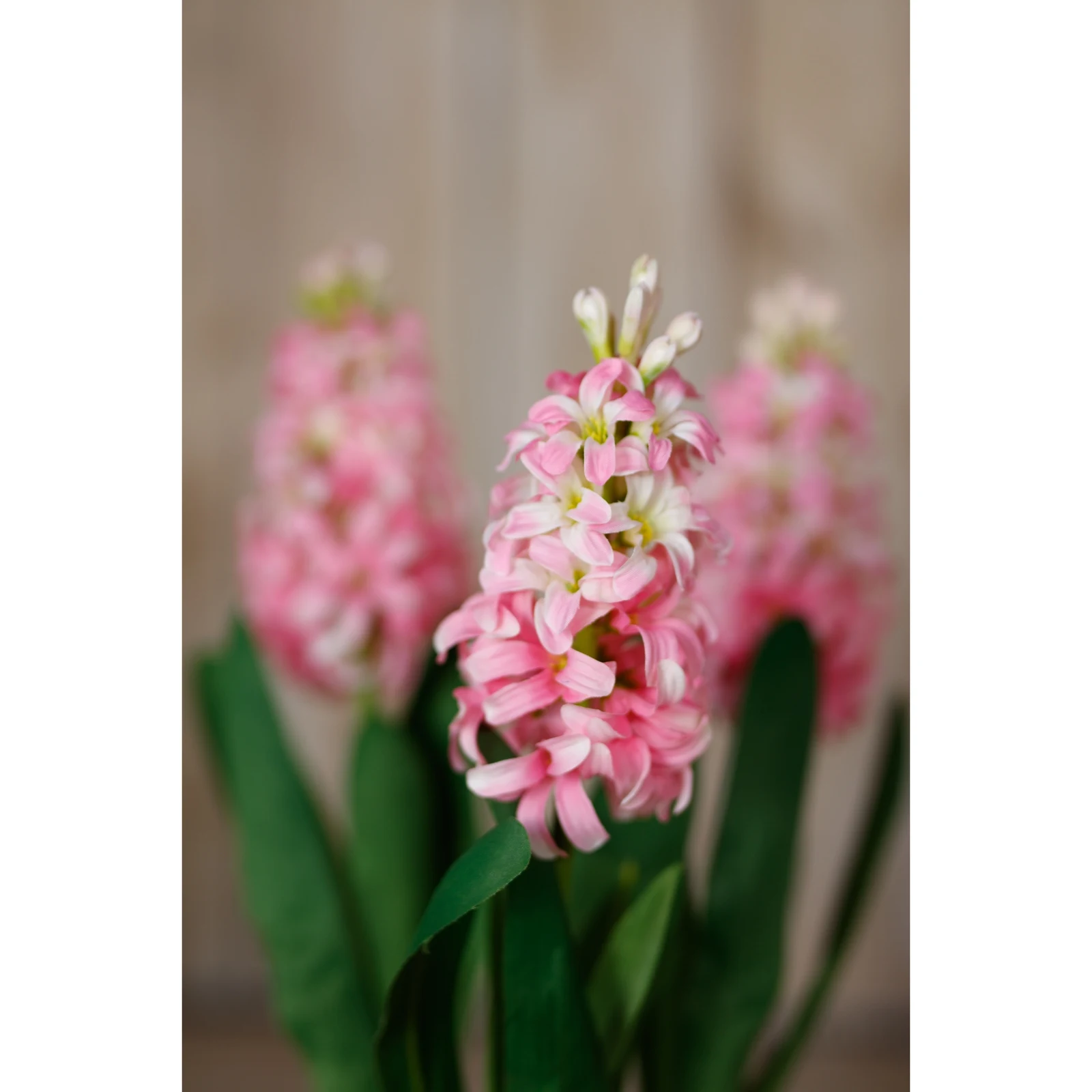 Pink Hyacinth Stem — Pack of 5 - Artificial plants & flowers, photo 5 of 5