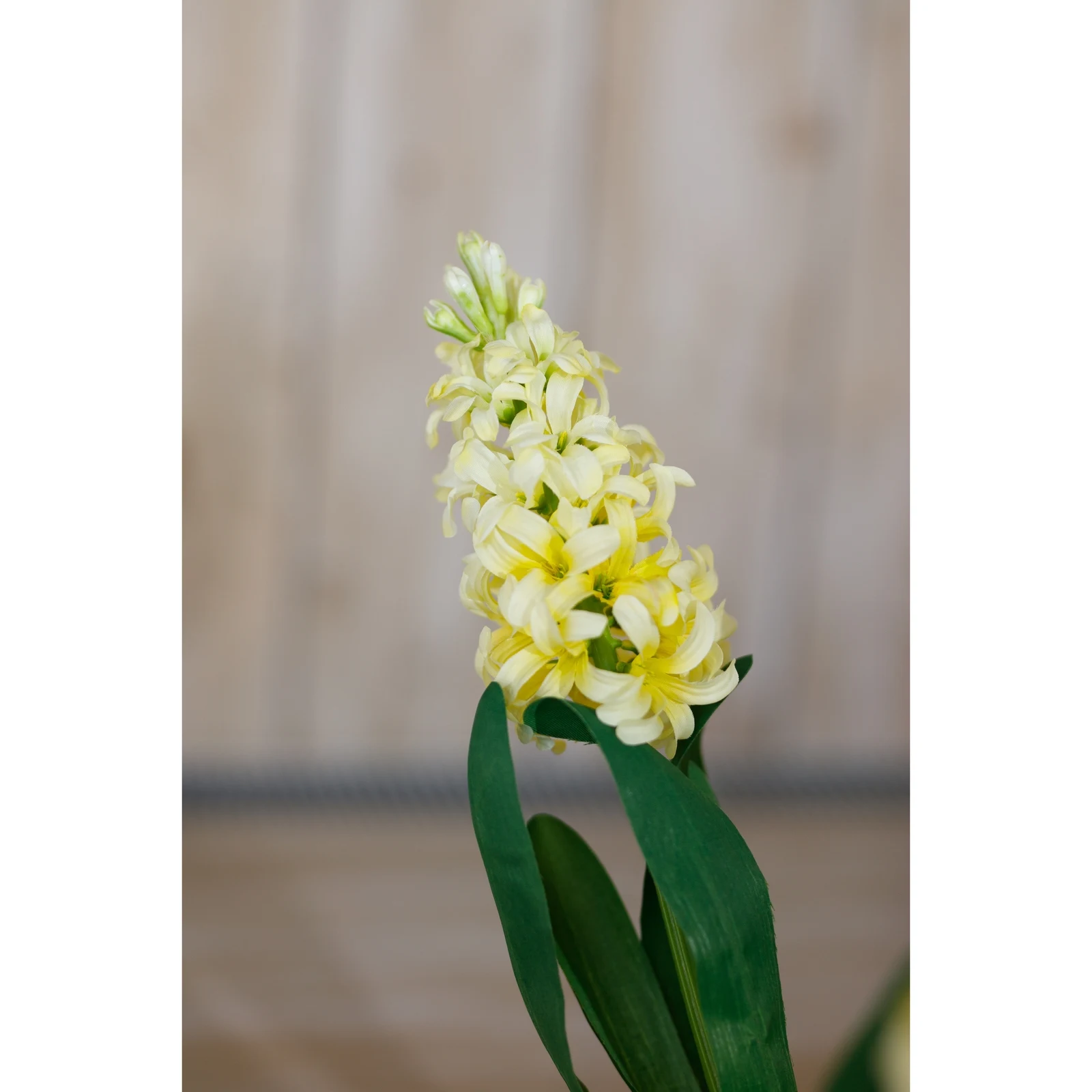 Yellow Hyacinth Stem — Pack of 5 - Artificial plants & flowers, photo 5 of 5