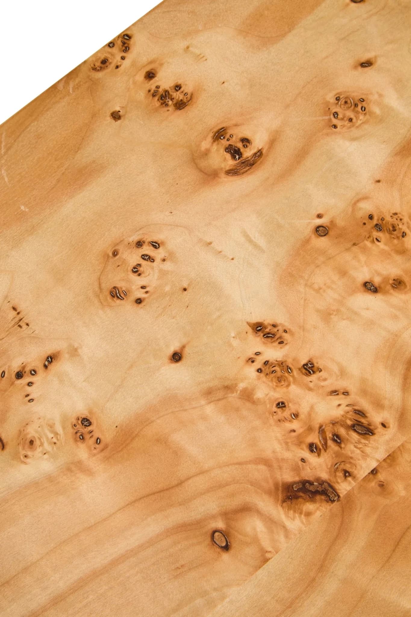 Mota Burl Wood Design Curved Coffee Table - Tables, photo 8 of 8
