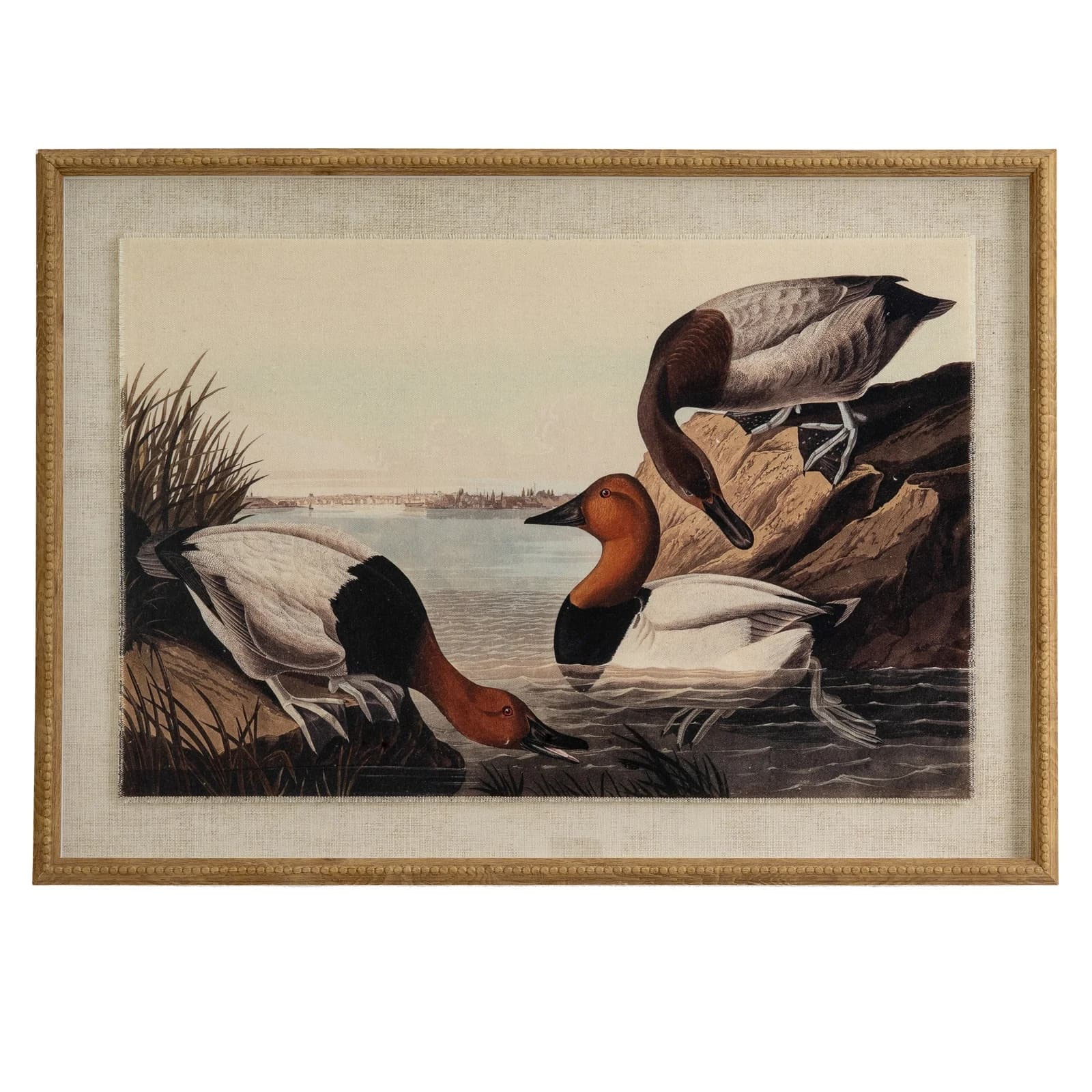 Flora & Fauna Collection Pochards On Linen In Beaded Frame - Wall art & frames, photo 2 of 4