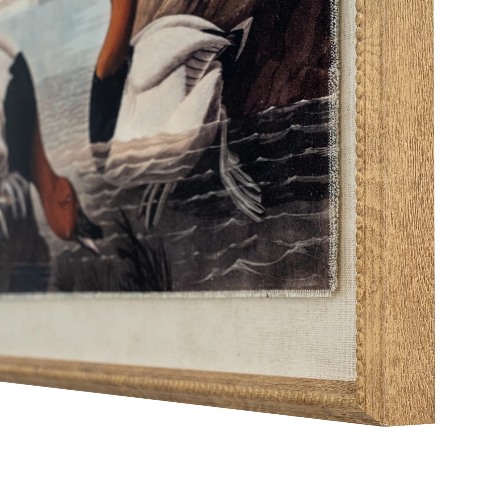 Flora & Fauna Collection Pochards On Linen In Beaded Frame - Wall art & frames, photo 3 of 4