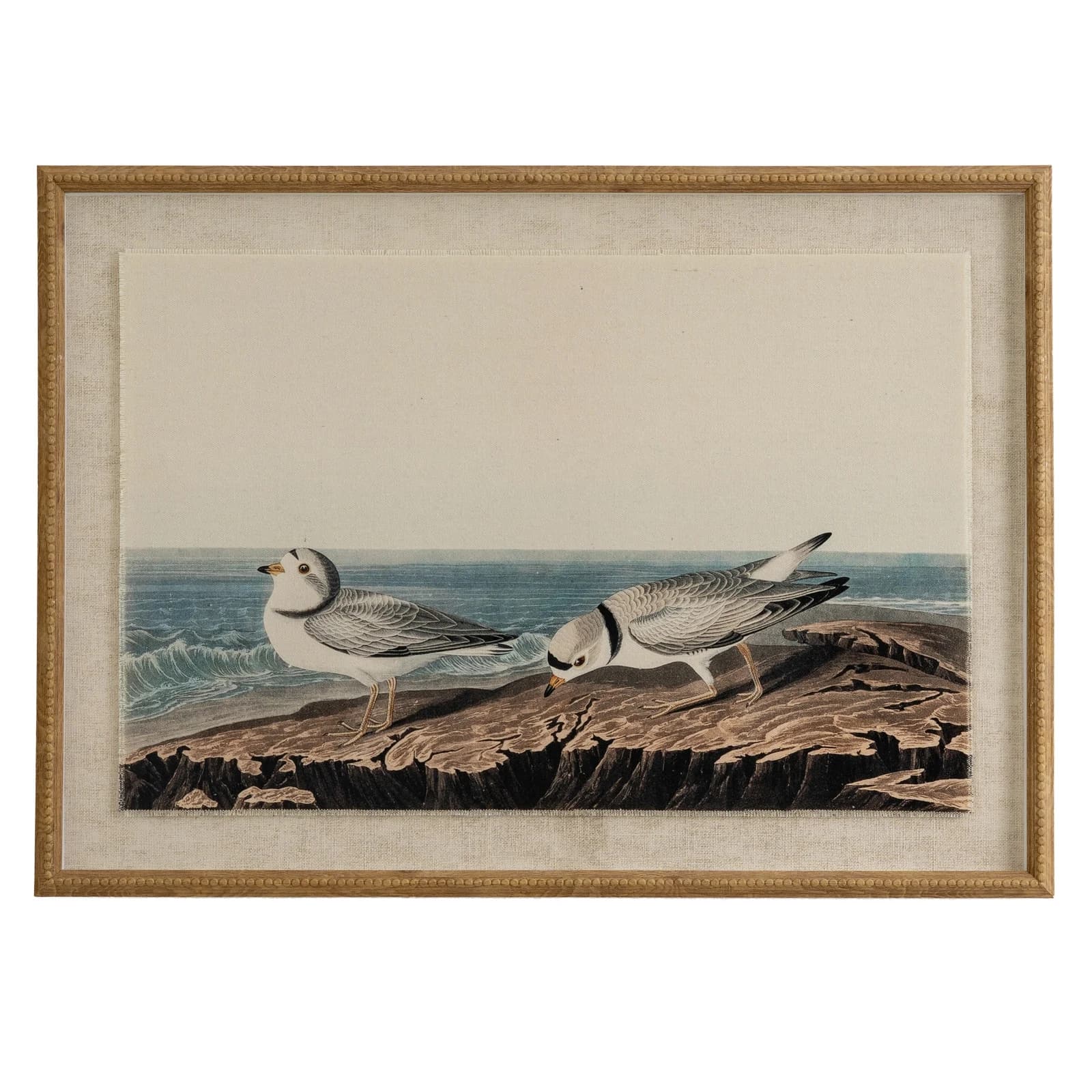 Flora & Fauna Collection Plovers On Linen In Beaded Frame - Wall art & frames, photo 2 of 3