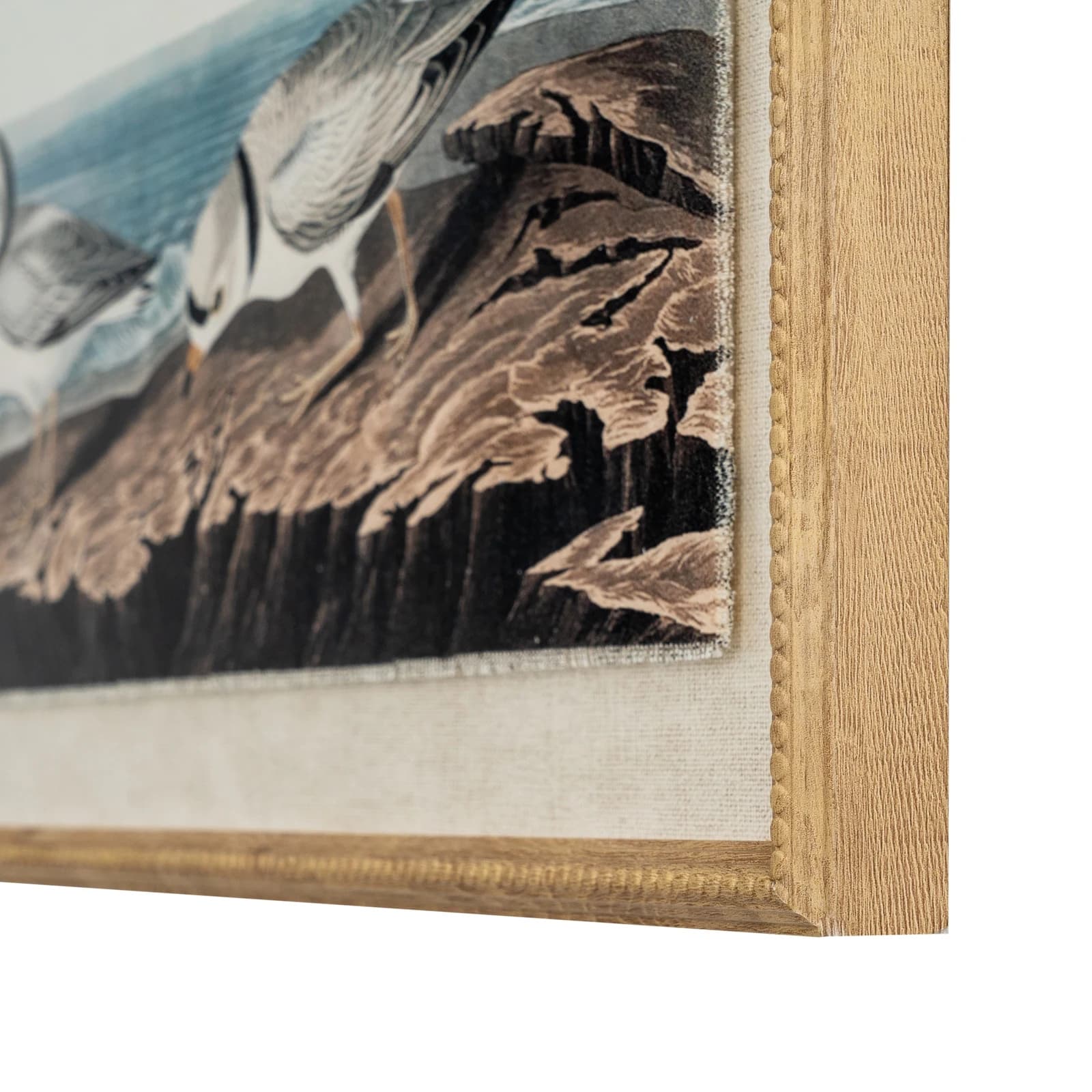 Flora & Fauna Collection Plovers On Linen In Beaded Frame - Wall art & frames, photo 3 of 3