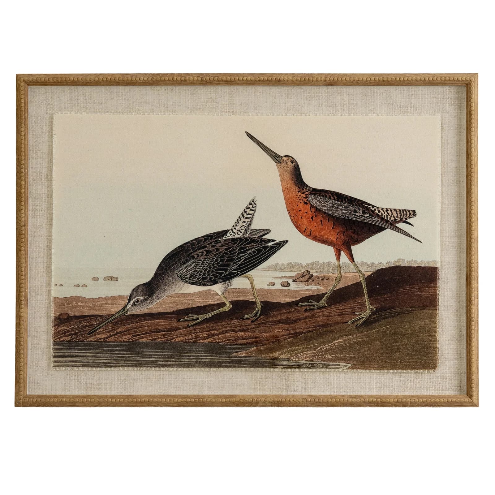 Flora & Fauna Collection Snipes On Linen In Beaded Frame - Wall art & frames, photo 2 of 3