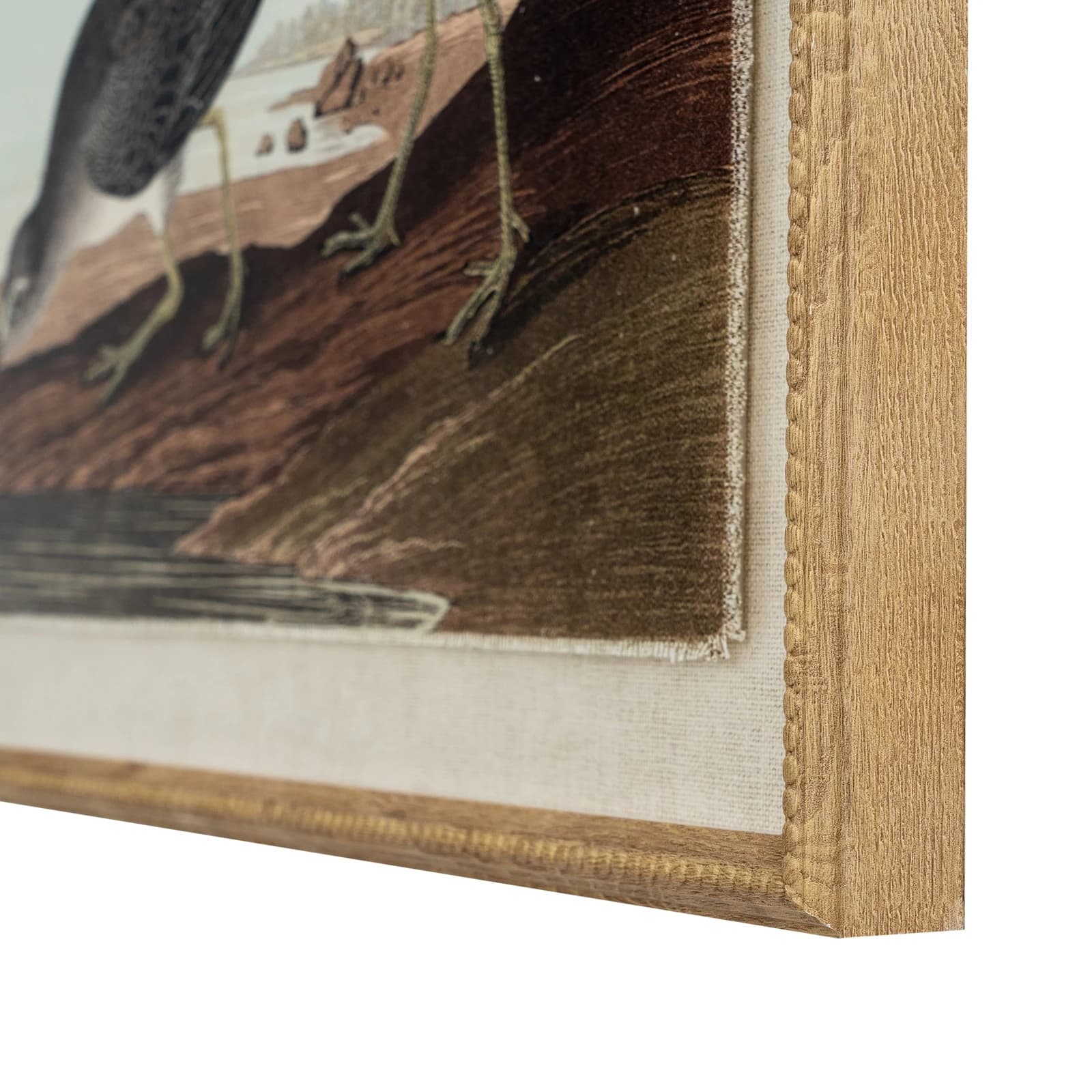 Flora & Fauna Collection Snipes On Linen In Beaded Frame - Wall art & frames, photo 3 of 3