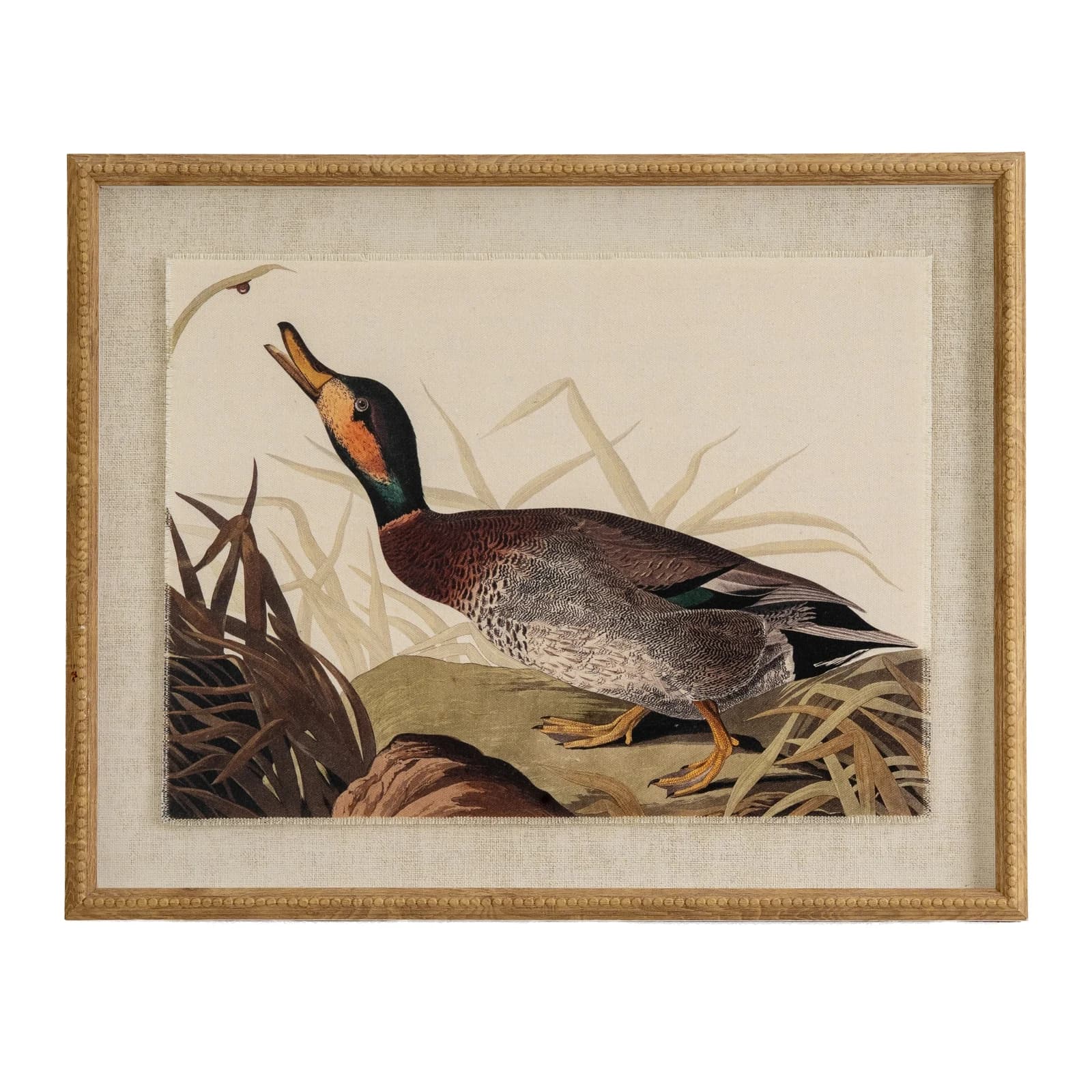 Flora & Fauna Collection Duck On Linen In Beaded Frame - Wall art & frames, photo 2 of 3