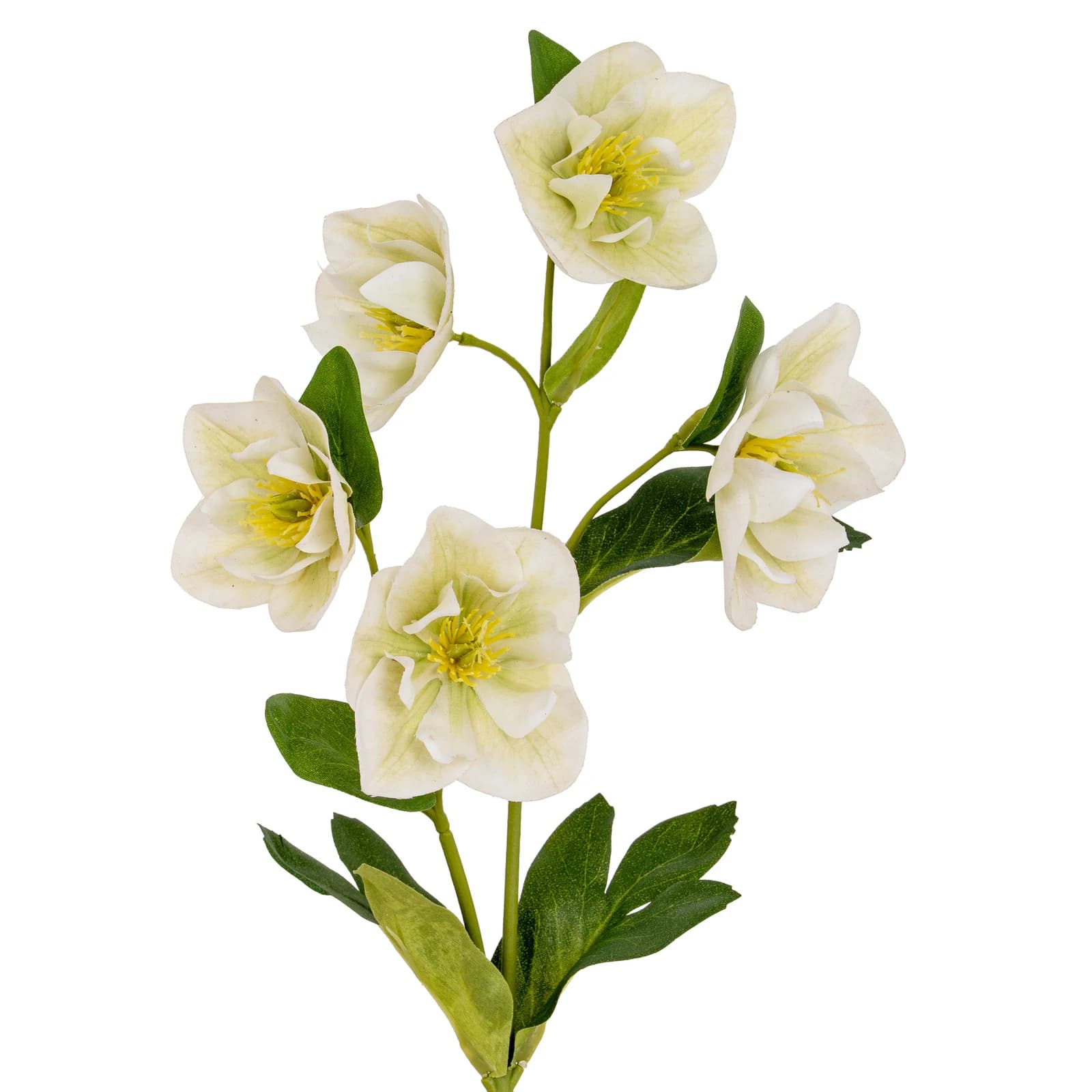 White Hellebore Stem — Pack of 5 - Artificial plants & flowers, photo 2 of 4
