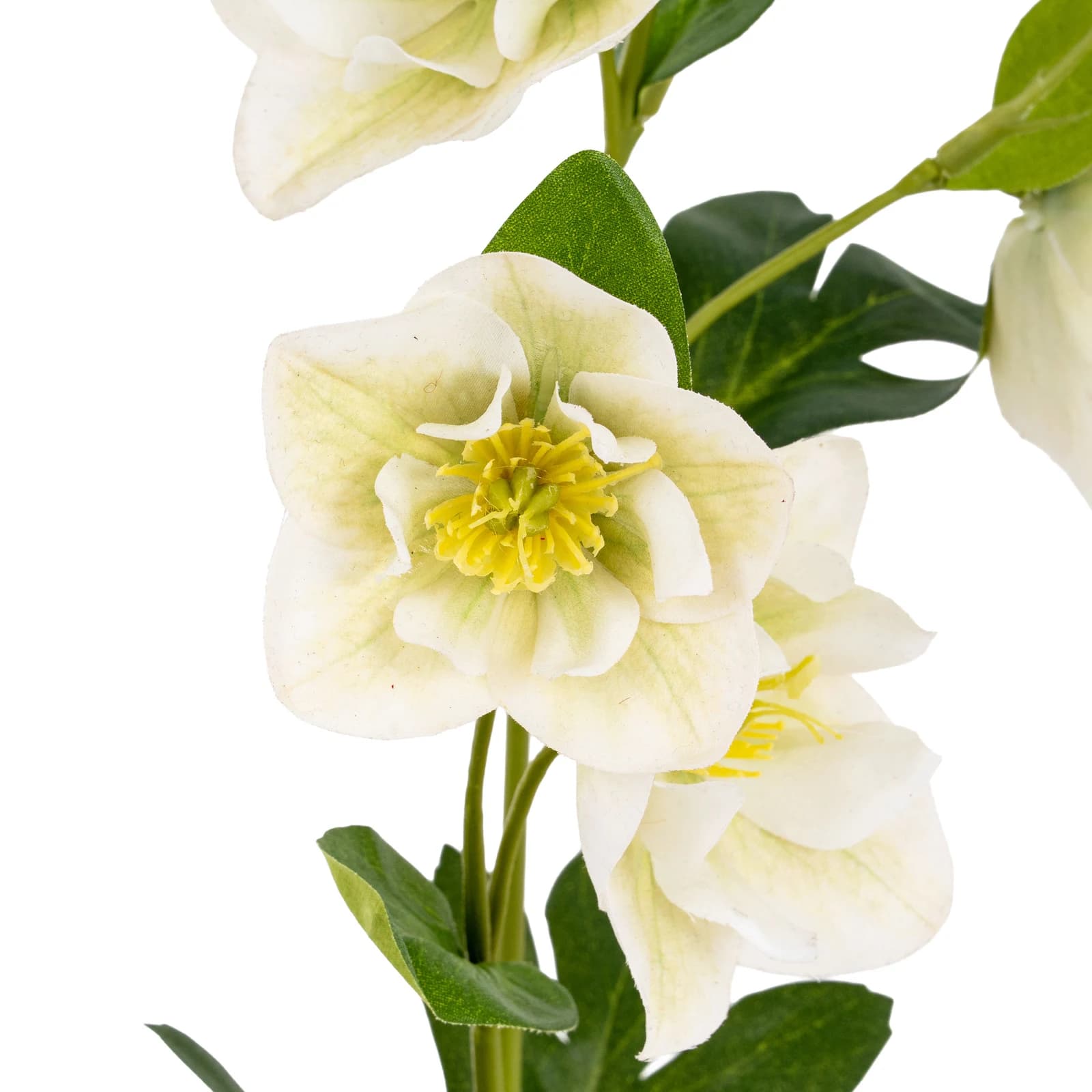 White Hellebore Stem — Pack of 5 - Artificial plants & flowers, photo 4 of 4