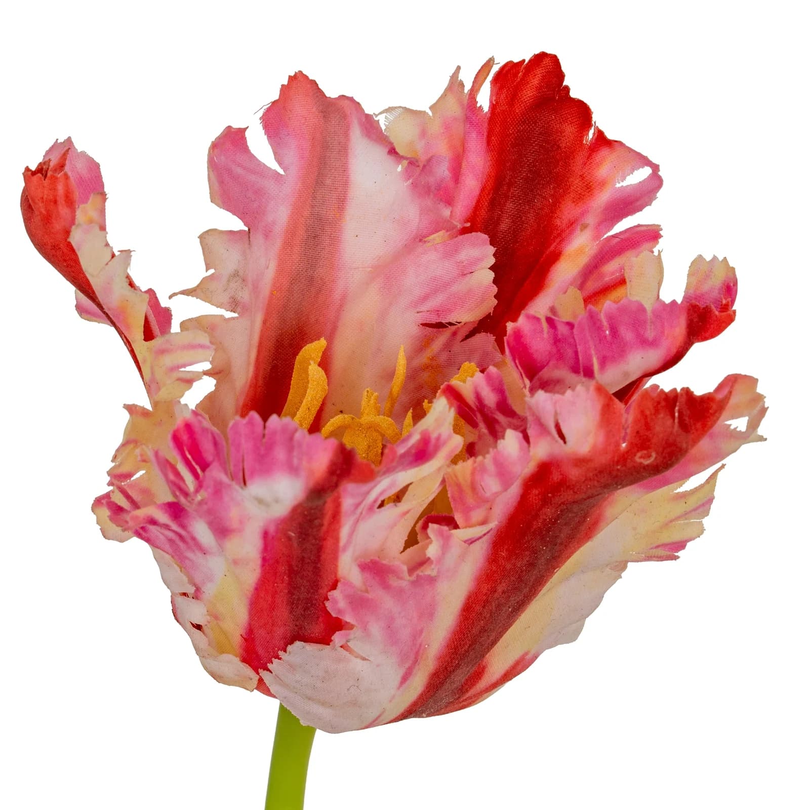 Multi Pink Parrot Tulip — Pack of 5 - Artificial plants & flowers, photo 5 of 5