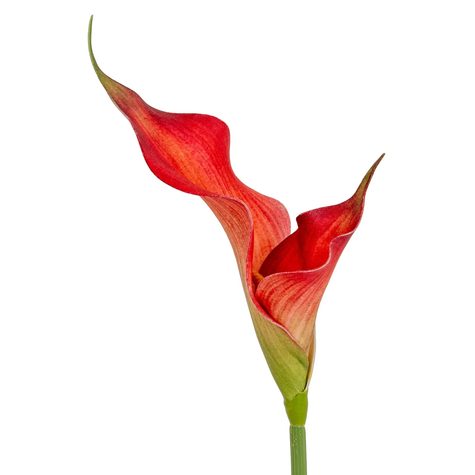 Fireball Calla Lily — Pack of 5 - Artificial plants & flowers, photo 3 of 4