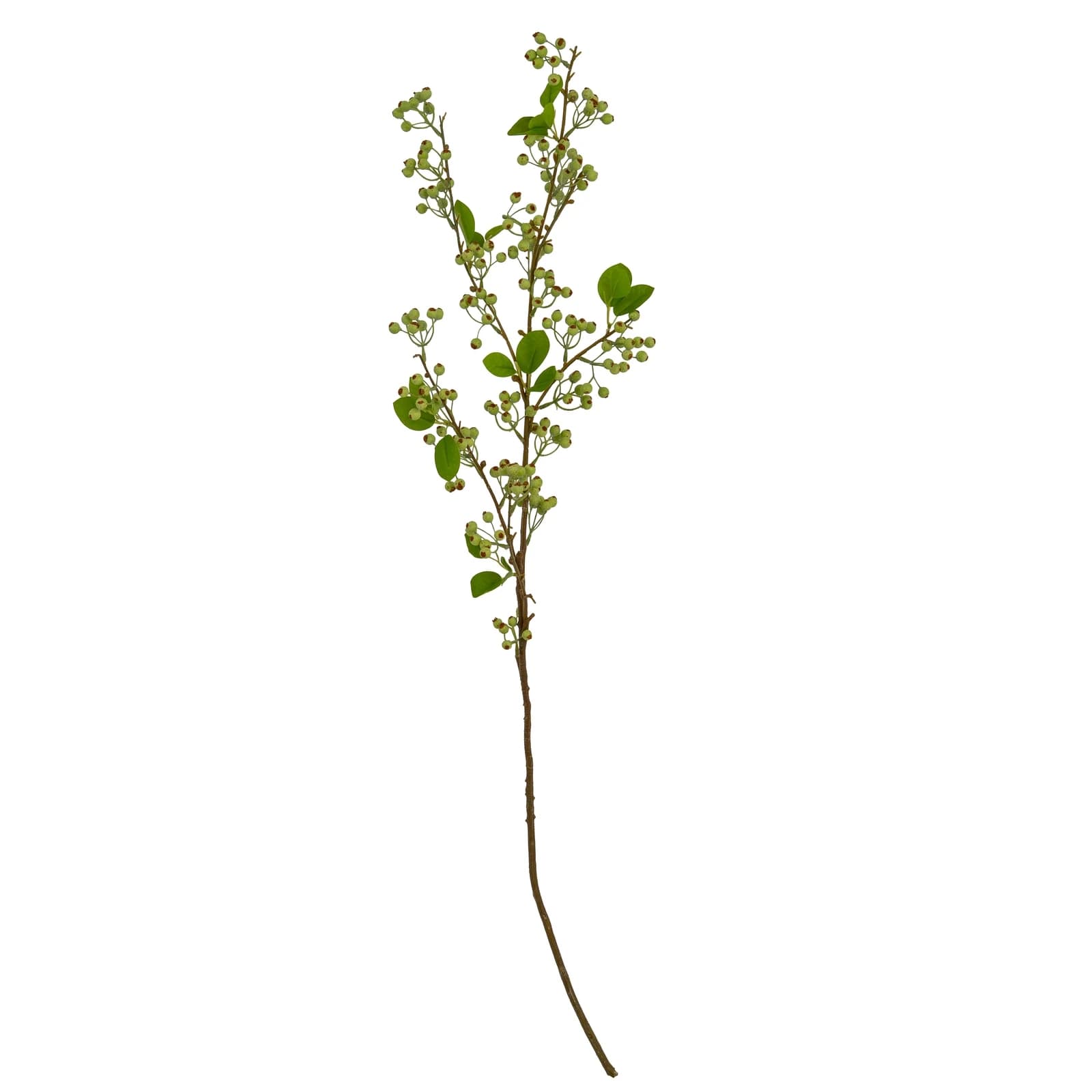 Green Mossberry Large Branch — Pack of 3 - Artificial plants & flowers, photo 2 of 3