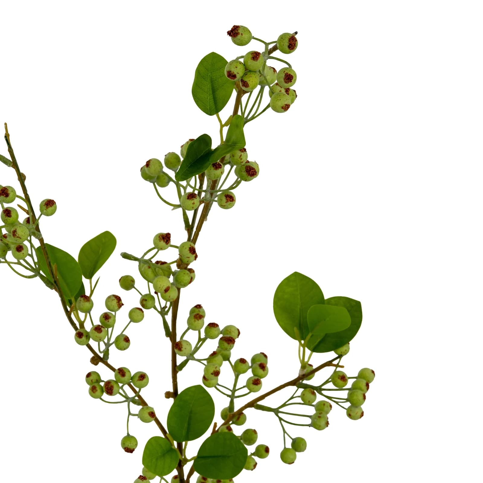 Green Mossberry Large Branch — Pack of 3 - Artificial plants & flowers, photo 3 of 3
