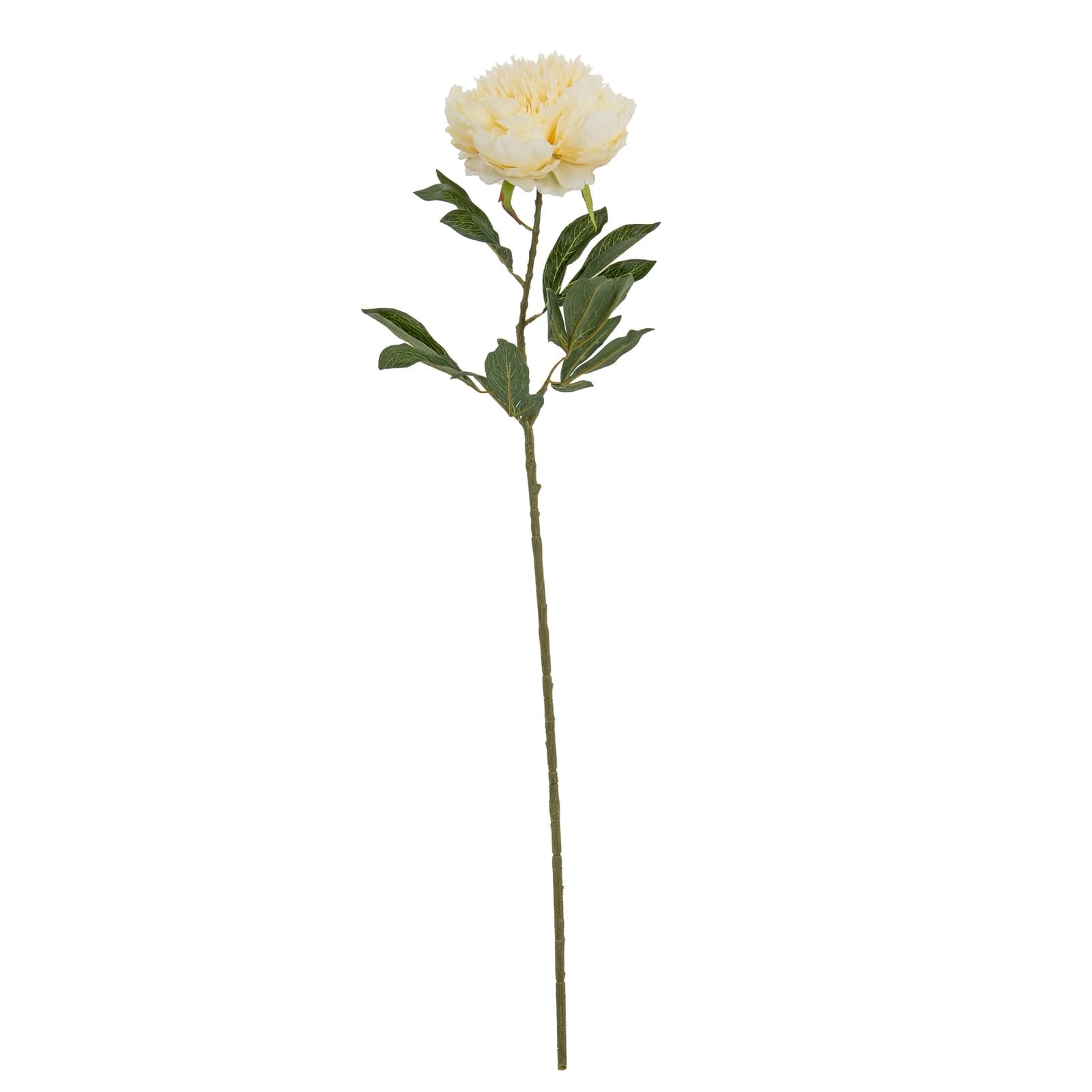 Large Buttermilk Double Peony Stem — Pack of 5 - Artificial plants & flowers, photo 2 of 3