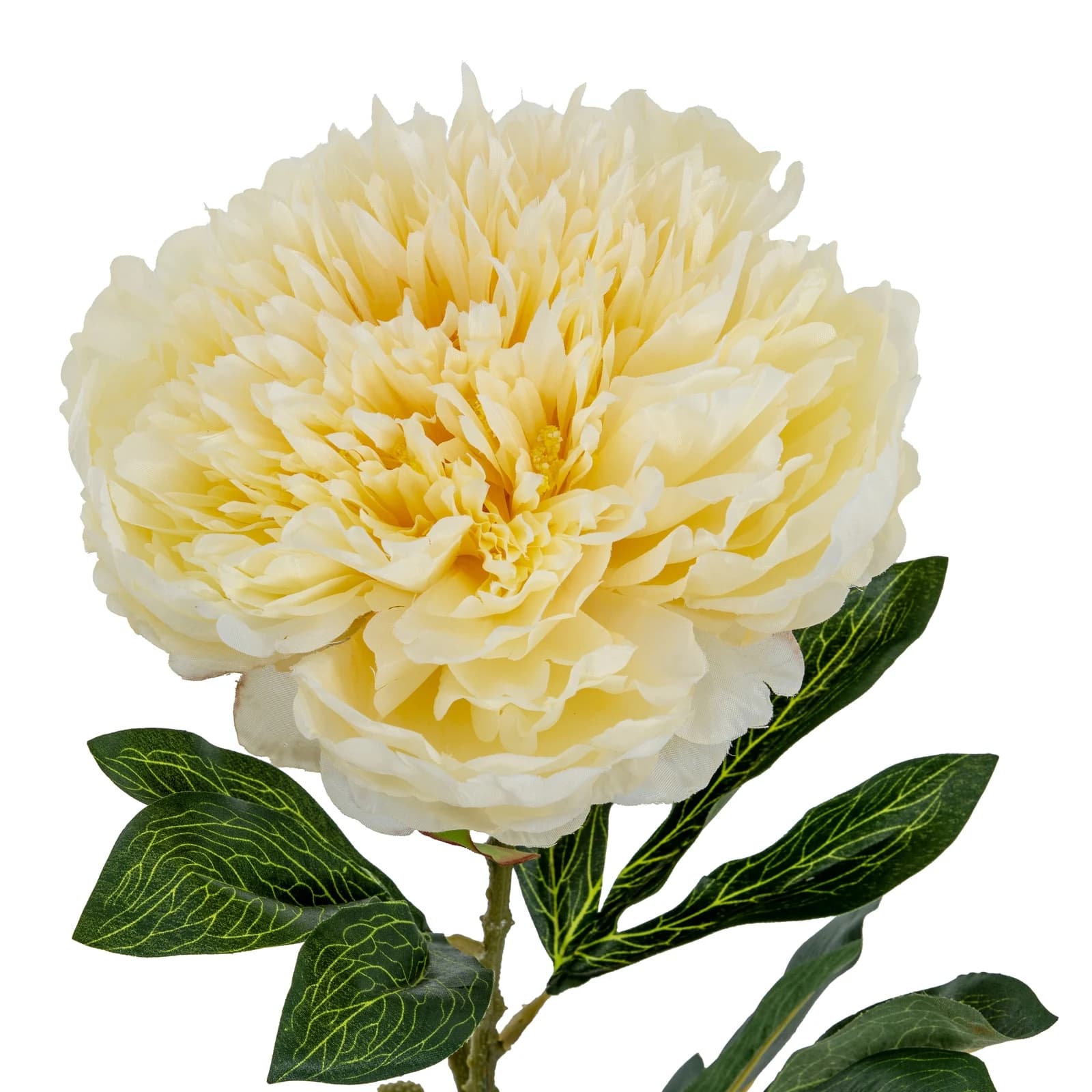 Large Buttermilk Double Peony Stem — Pack of 5 - Artificial plants & flowers, photo 3 of 3