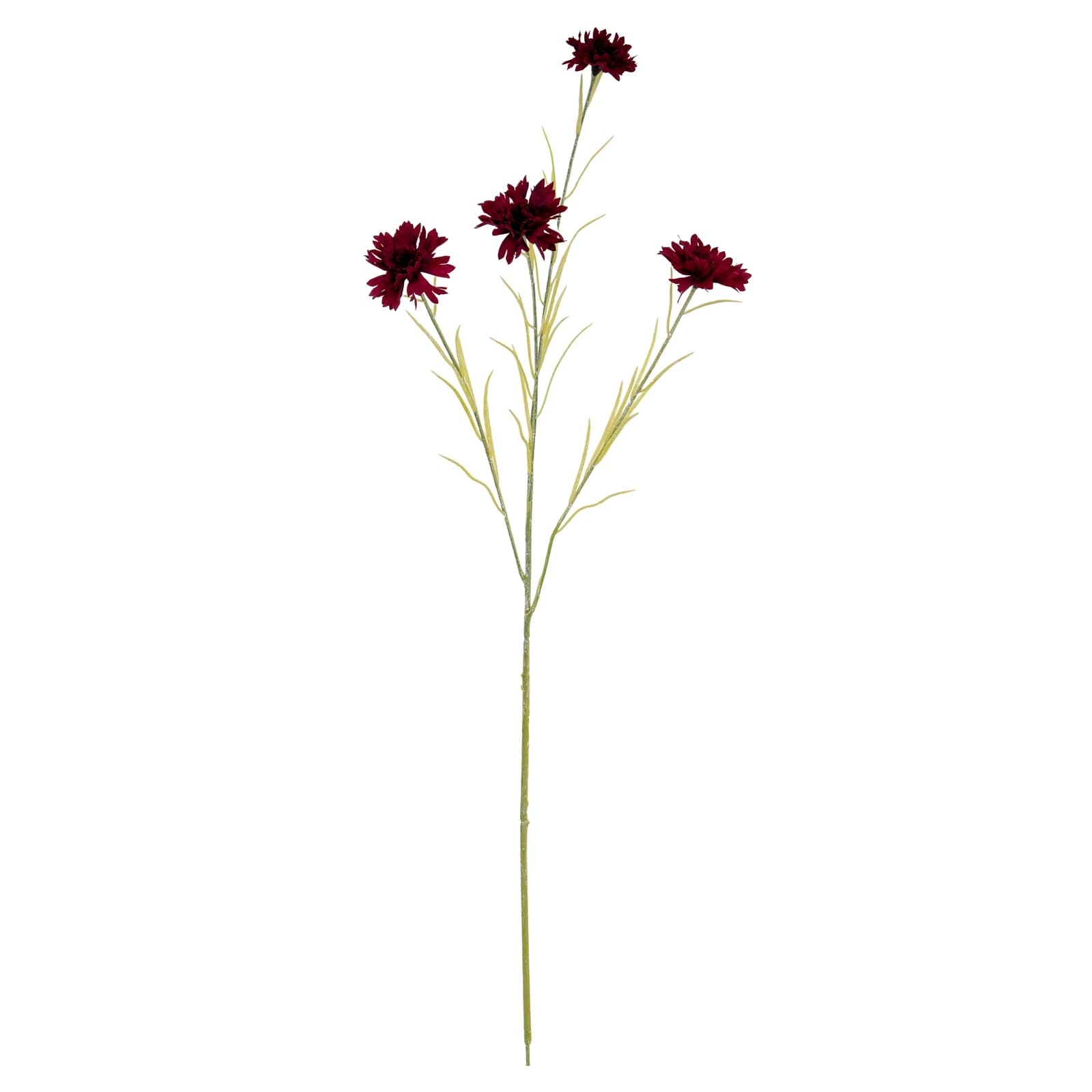 Burgundy Cornflower Stem — Pack of 5 - Artificial plants & flowers, photo 2 of 3