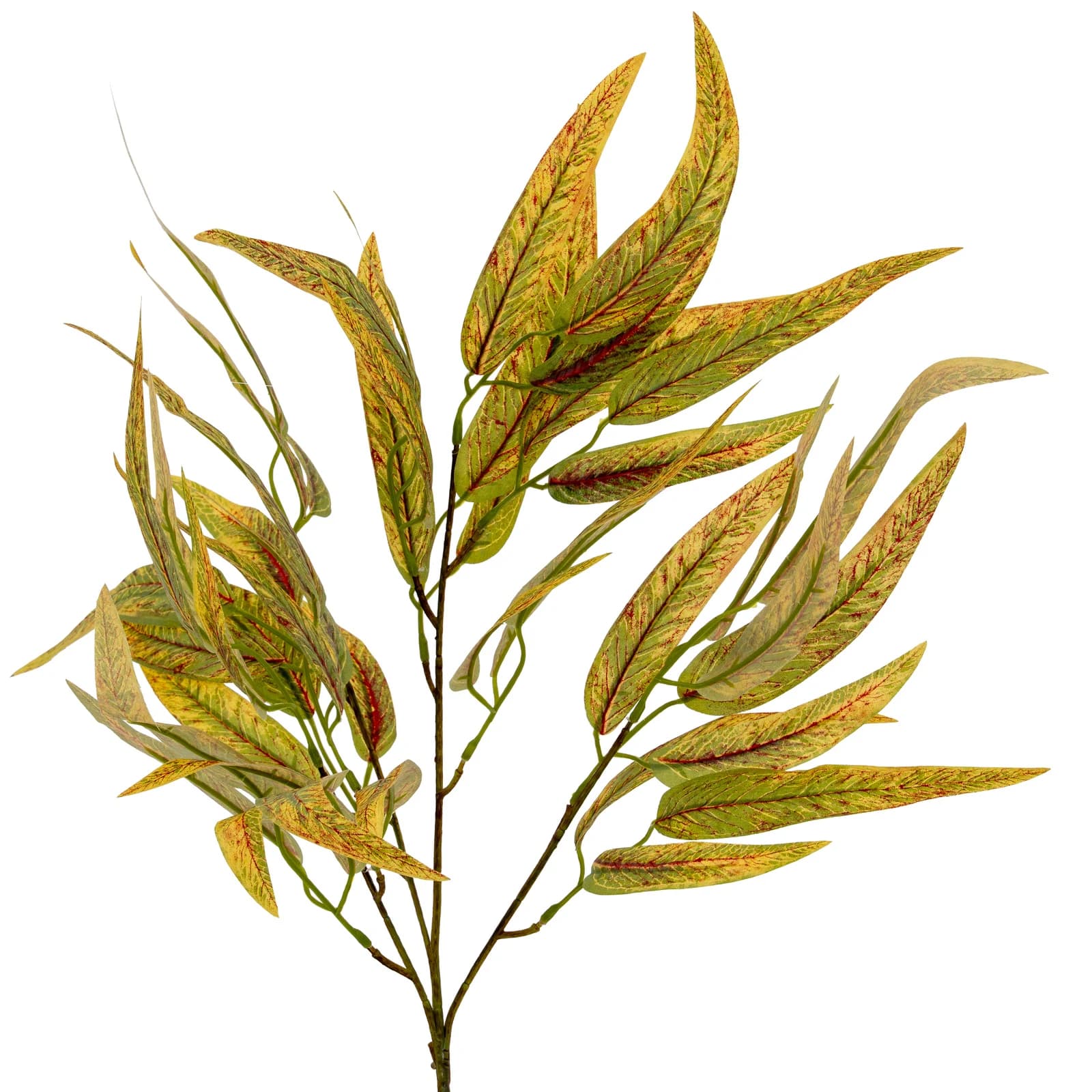 Variegated Long Leaf Eucalyptus Spray — Pack of 5 - Artificial plants & flowers, photo 2 of 4