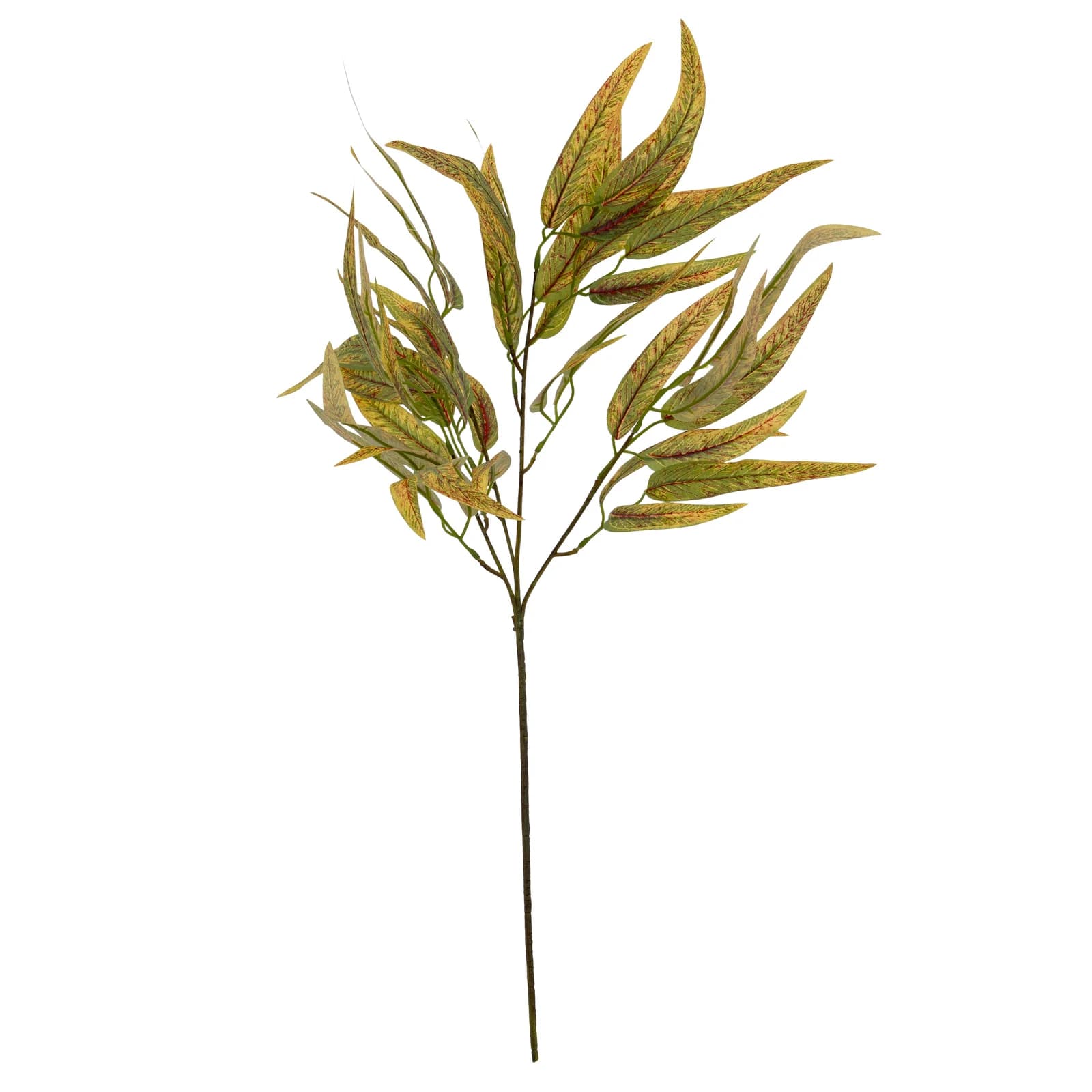 Variegated Long Leaf Eucalyptus Spray — Pack of 5 - Artificial plants & flowers, photo 3 of 4