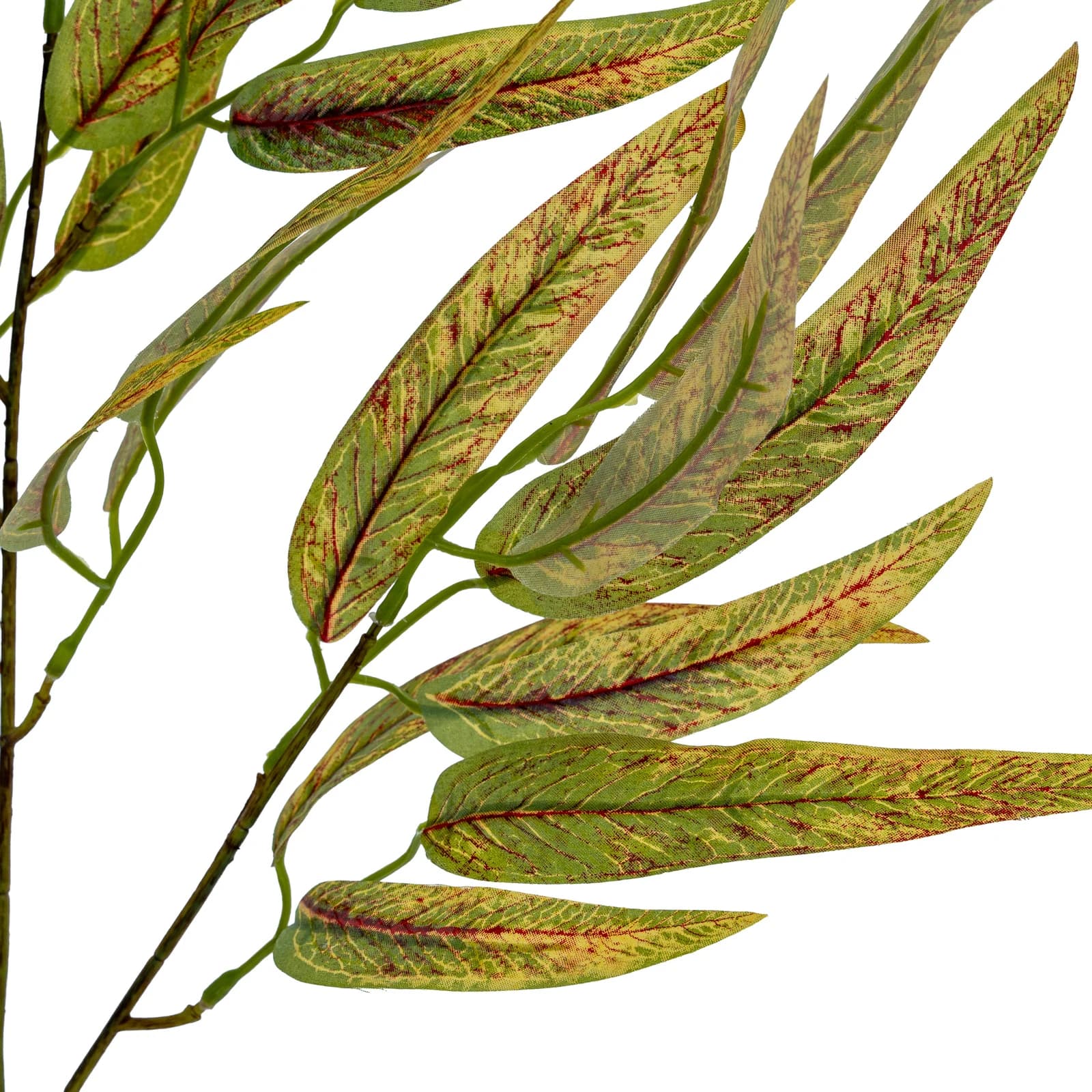 Variegated Long Leaf Eucalyptus Spray — Pack of 5 - Artificial plants & flowers, photo 4 of 4
