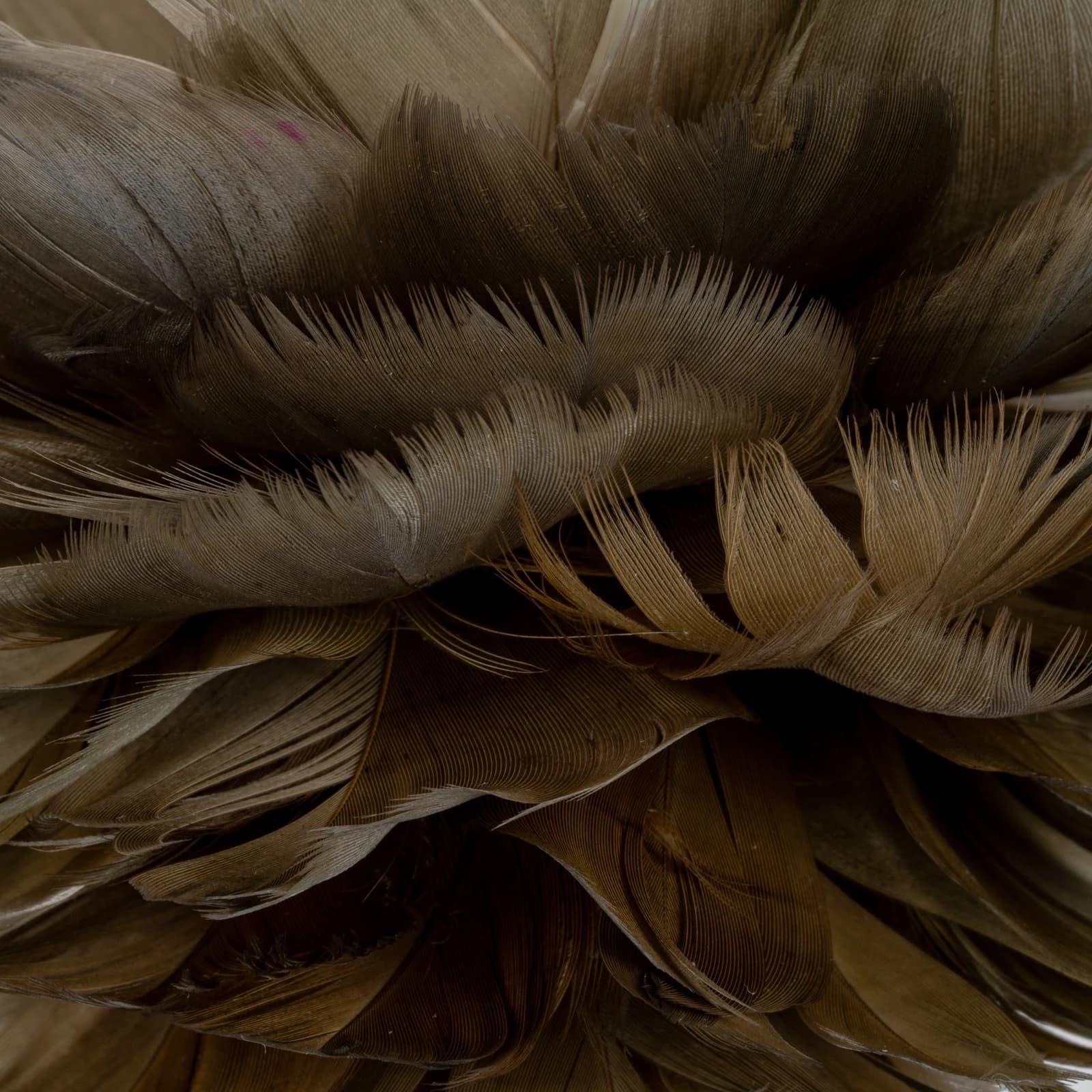 Medium Fawn Feather Ball Decoration - Clocks, photo 2 of 3