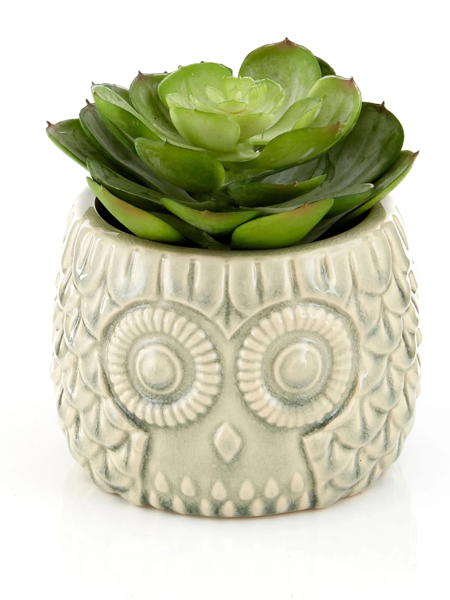 Fiori Large Succulent in Grey Ceramic Owl Pot - Decorative, photo 7 of 8