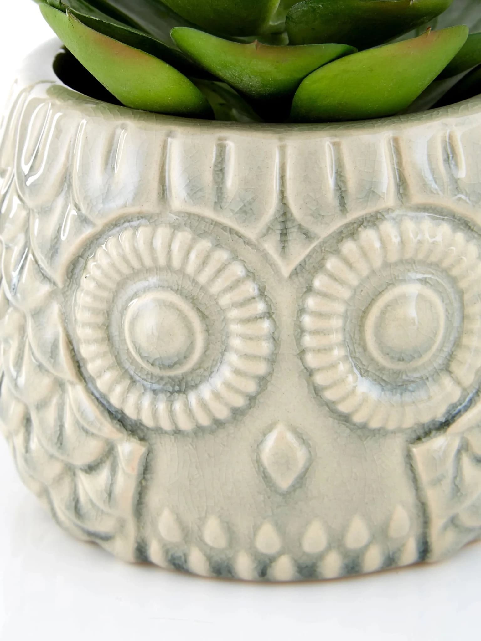 Fiori Large Succulent in Grey Ceramic Owl Pot - Decorative, photo 8 of 8
