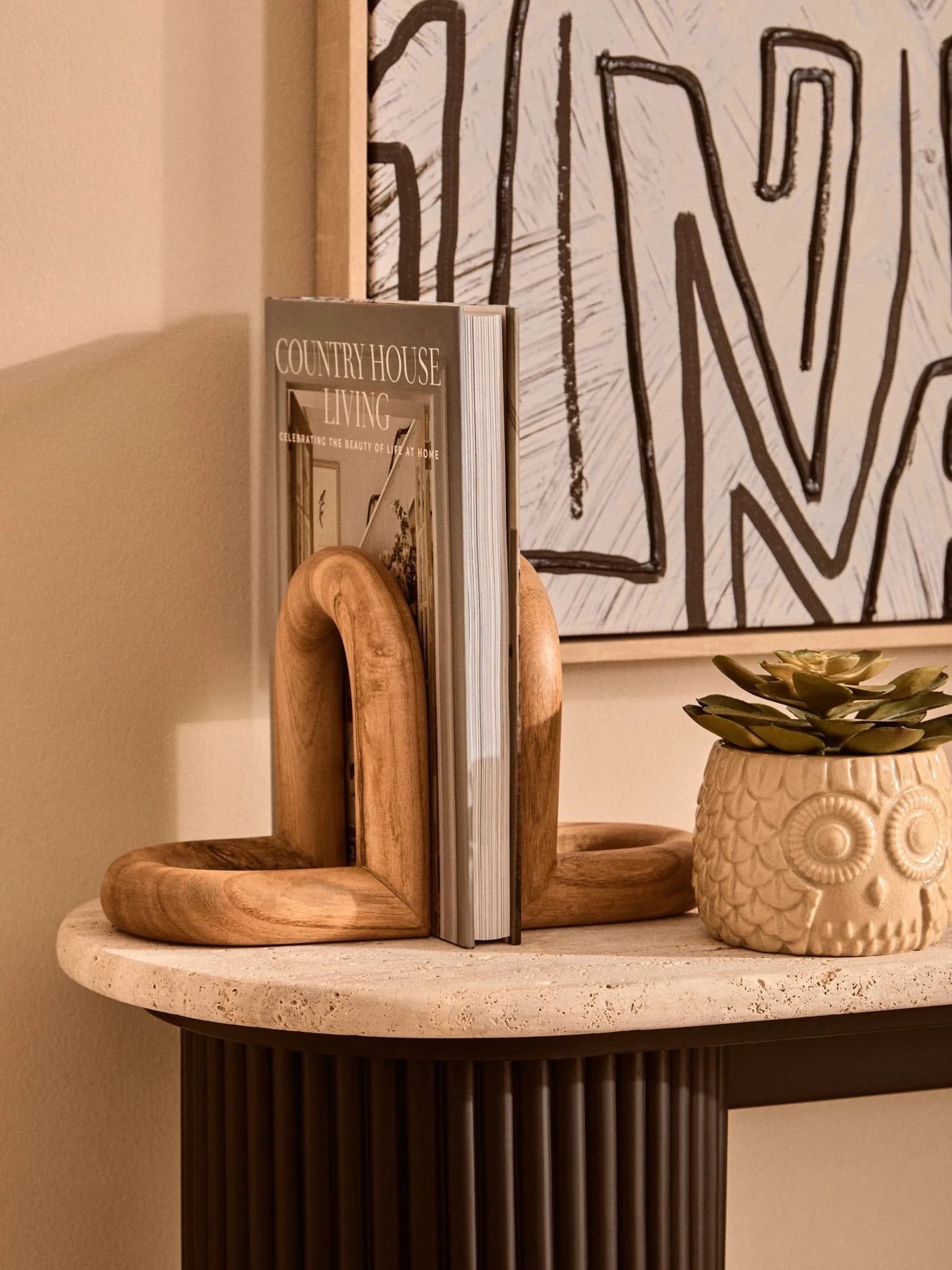 Fiori Large Succulent in Grey Ceramic Owl Pot - Decorative, photo 4 of 8