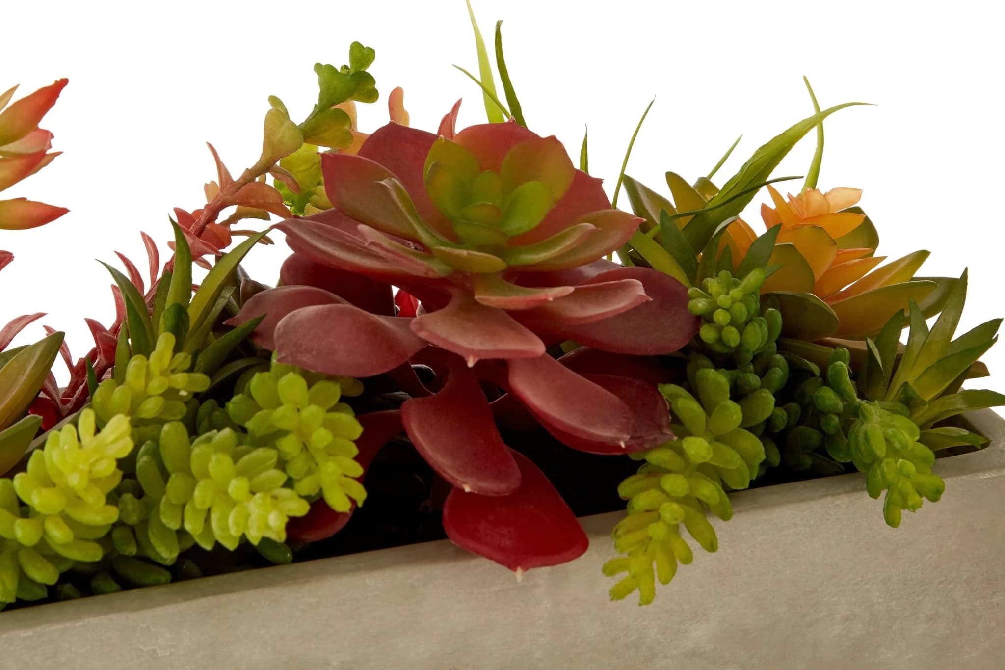 Fiori Mixed Succulents in Rectangular Cement Pot - Decorative, photo 5 of 5