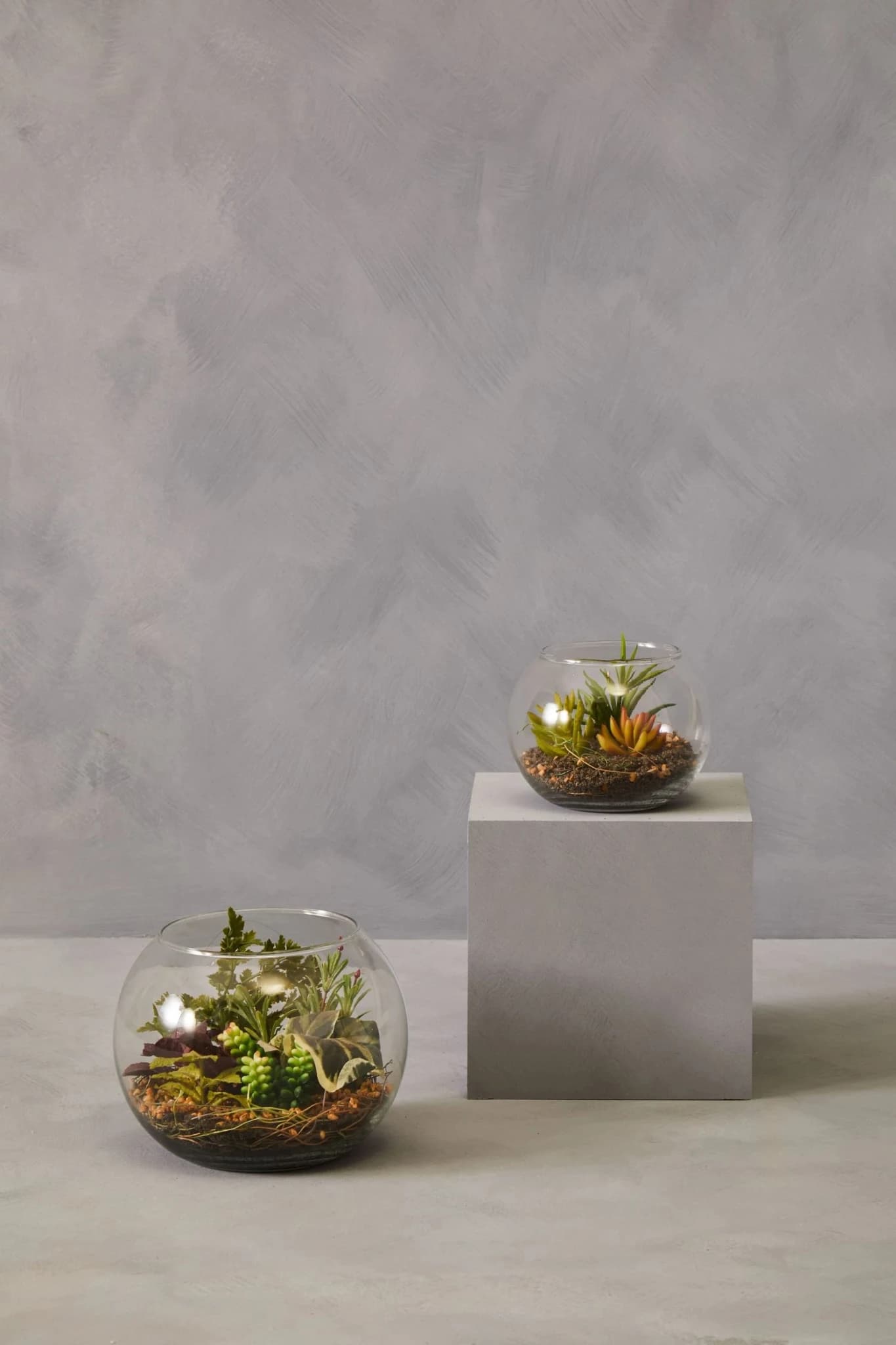 Fiori Large Terranium - Decorative, photo 3 of 5