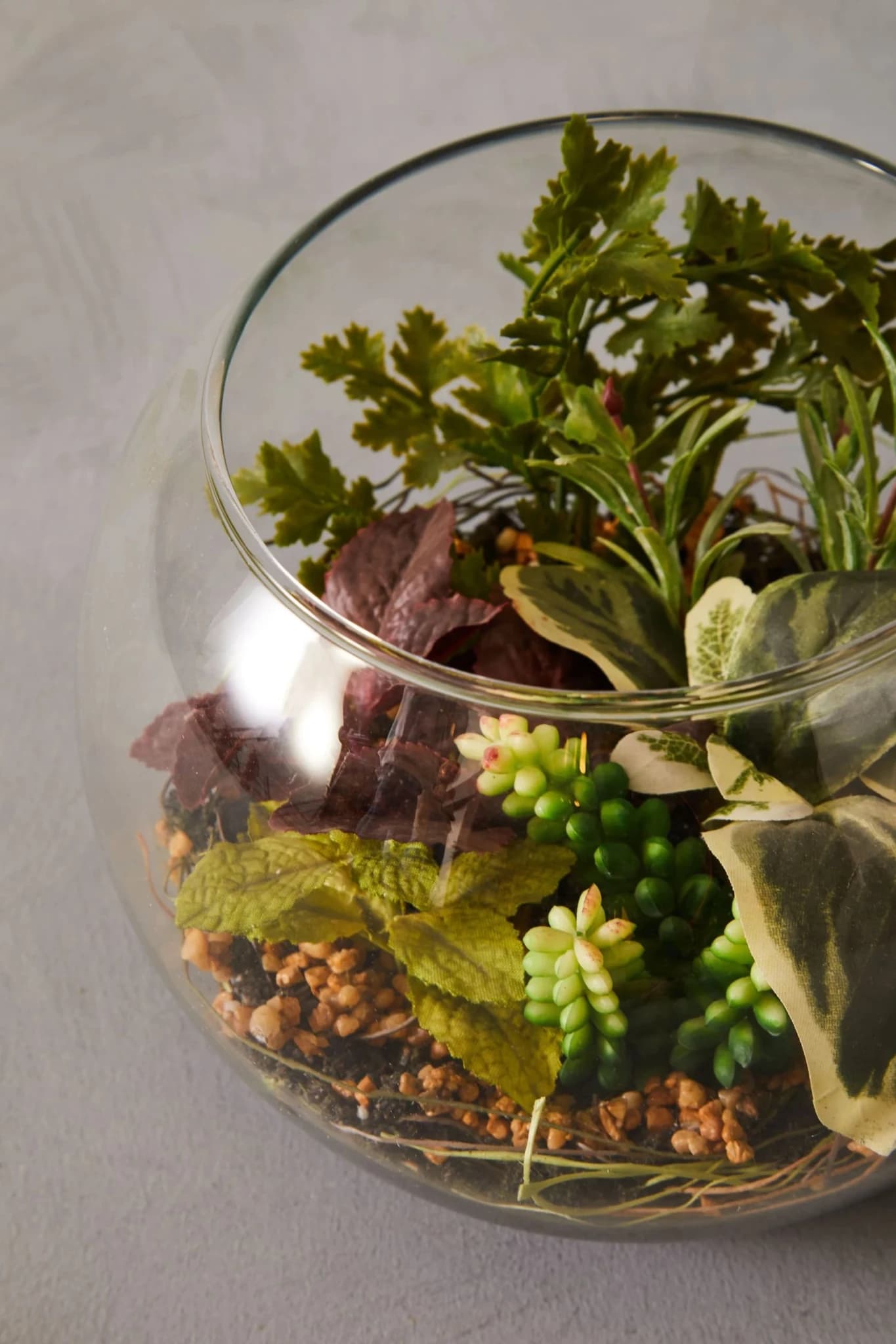 Fiori Large Terranium - Decorative, photo 2 of 5