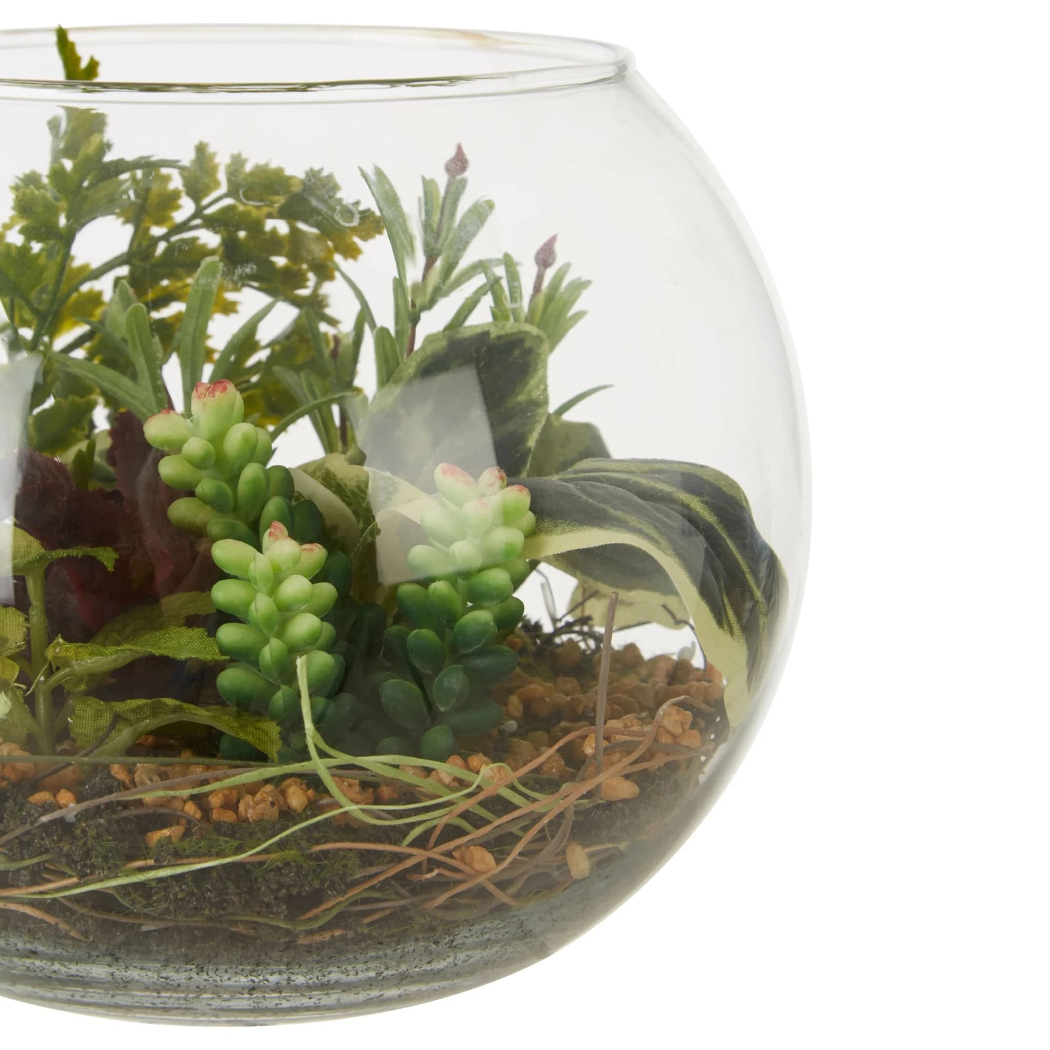 Fiori Large Terranium - Decorative, photo 5 of 5