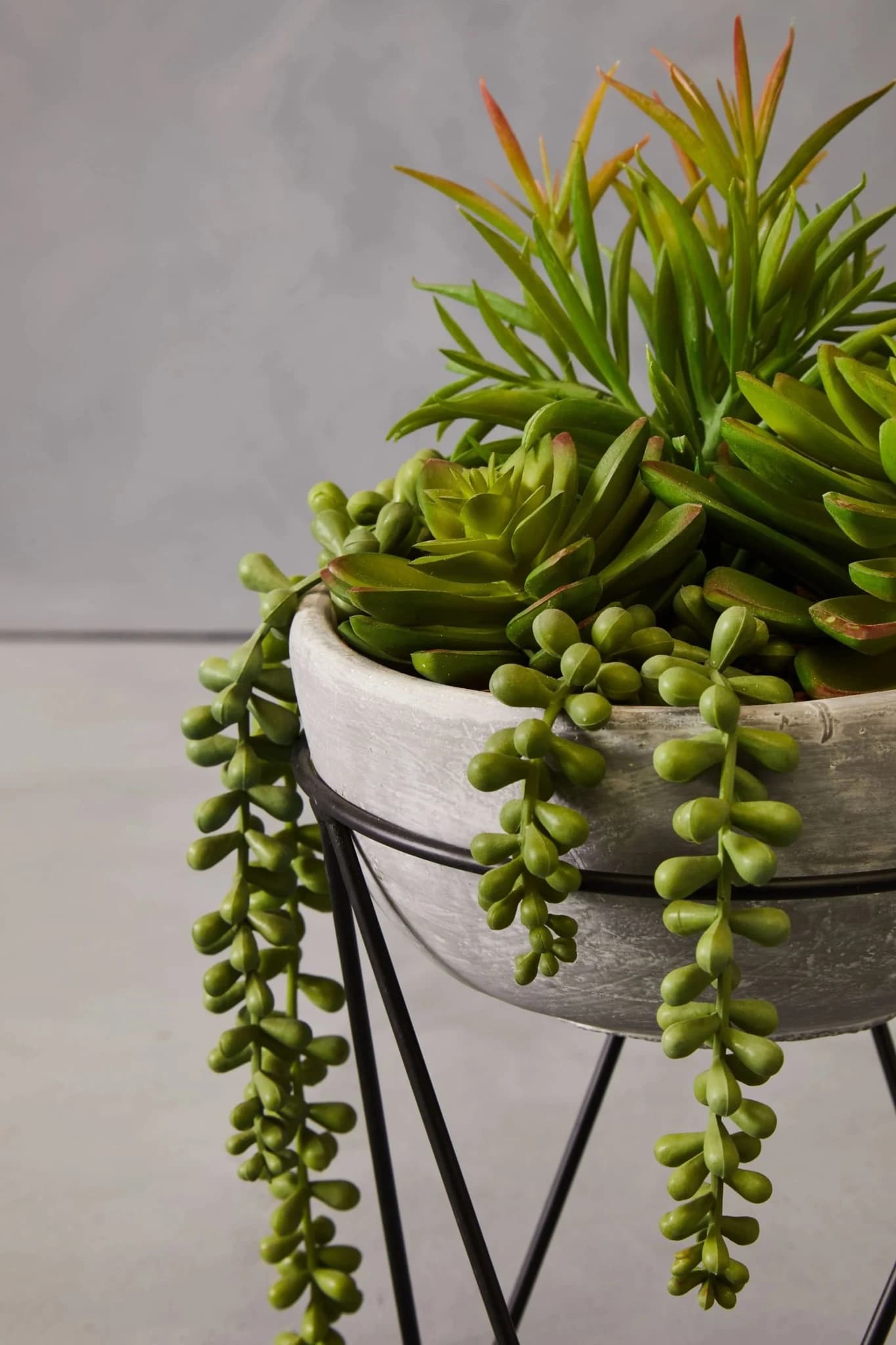 Fiori Mixed Succulent in Grey Cement Pot with Metal Stand - Decorative, photo 5 of 8