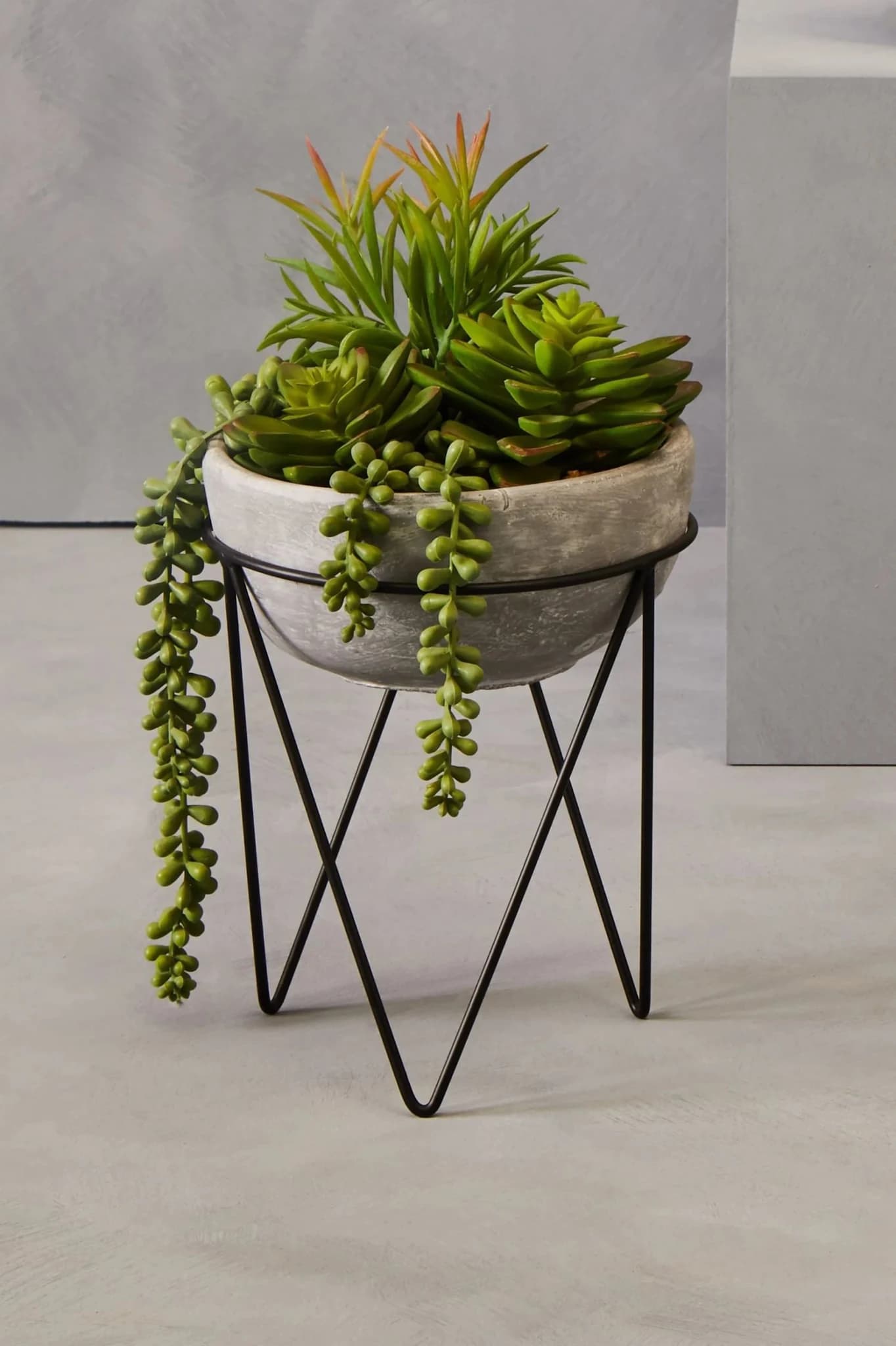 Fiori Mixed Succulent in Grey Cement Pot with Metal Stand - Decorative, photo 4 of 8