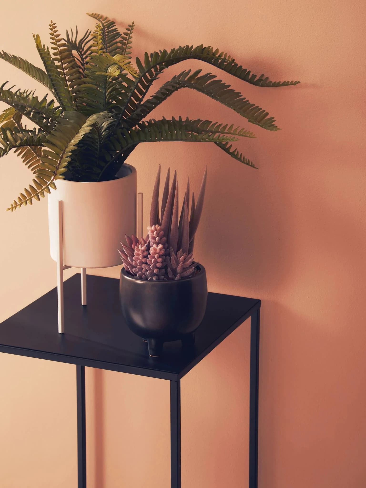 Fiori Fern in White Cement Pot on Stand - Decorative, photo 8 of 8