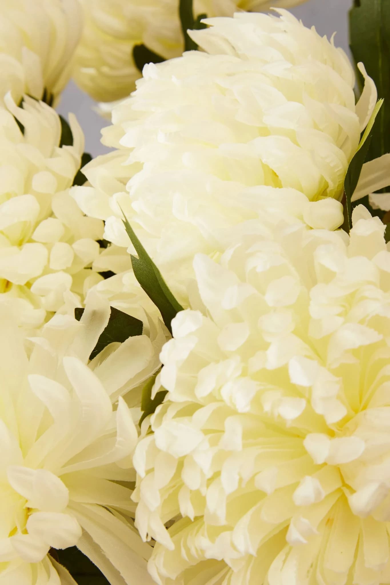 Fiori White Chrysanthemum Flower Stem - Decorative, photo 4 of 8