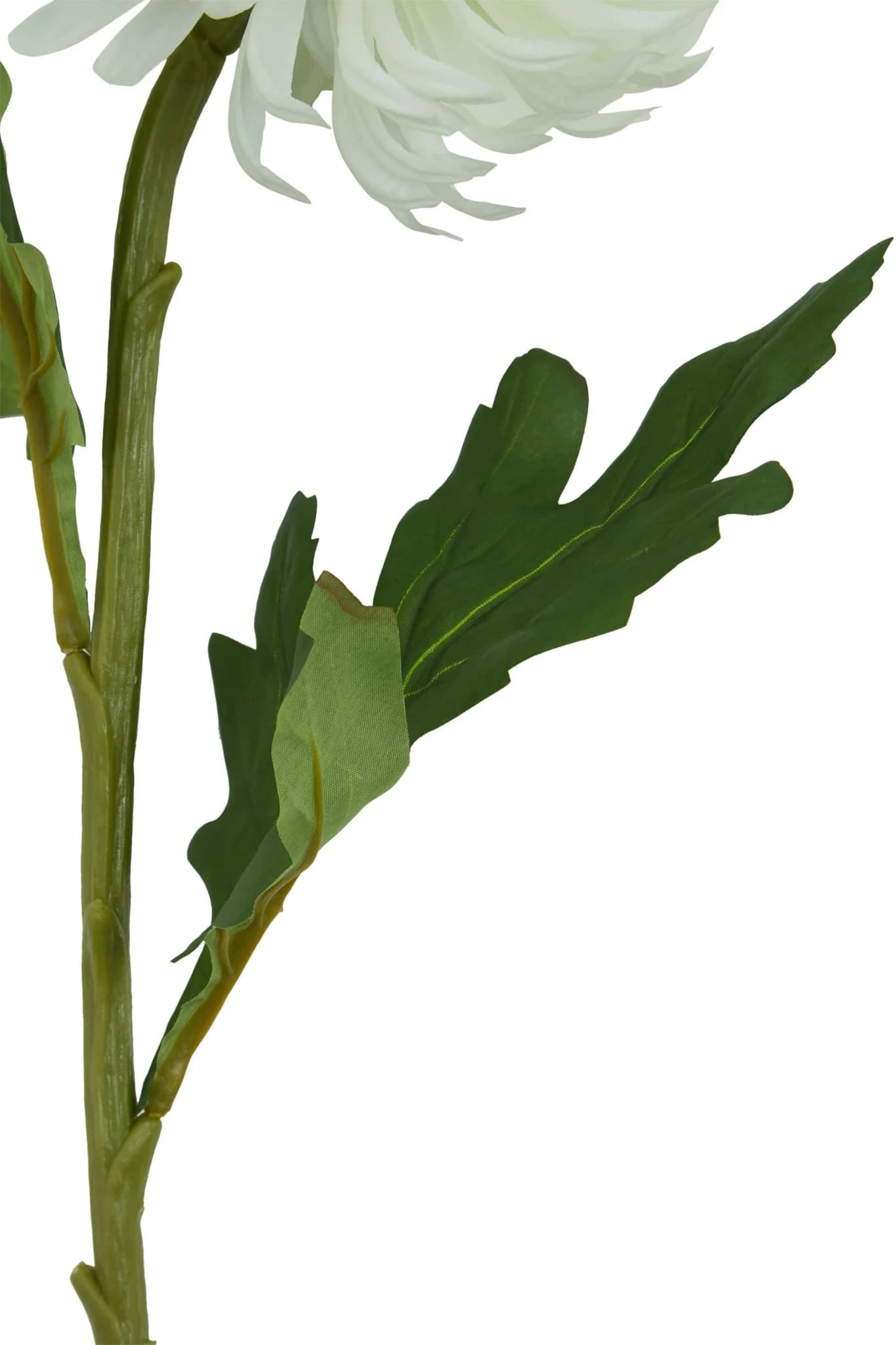 Fiori White Chrysanthemum Flower Stem - Decorative, photo 8 of 8