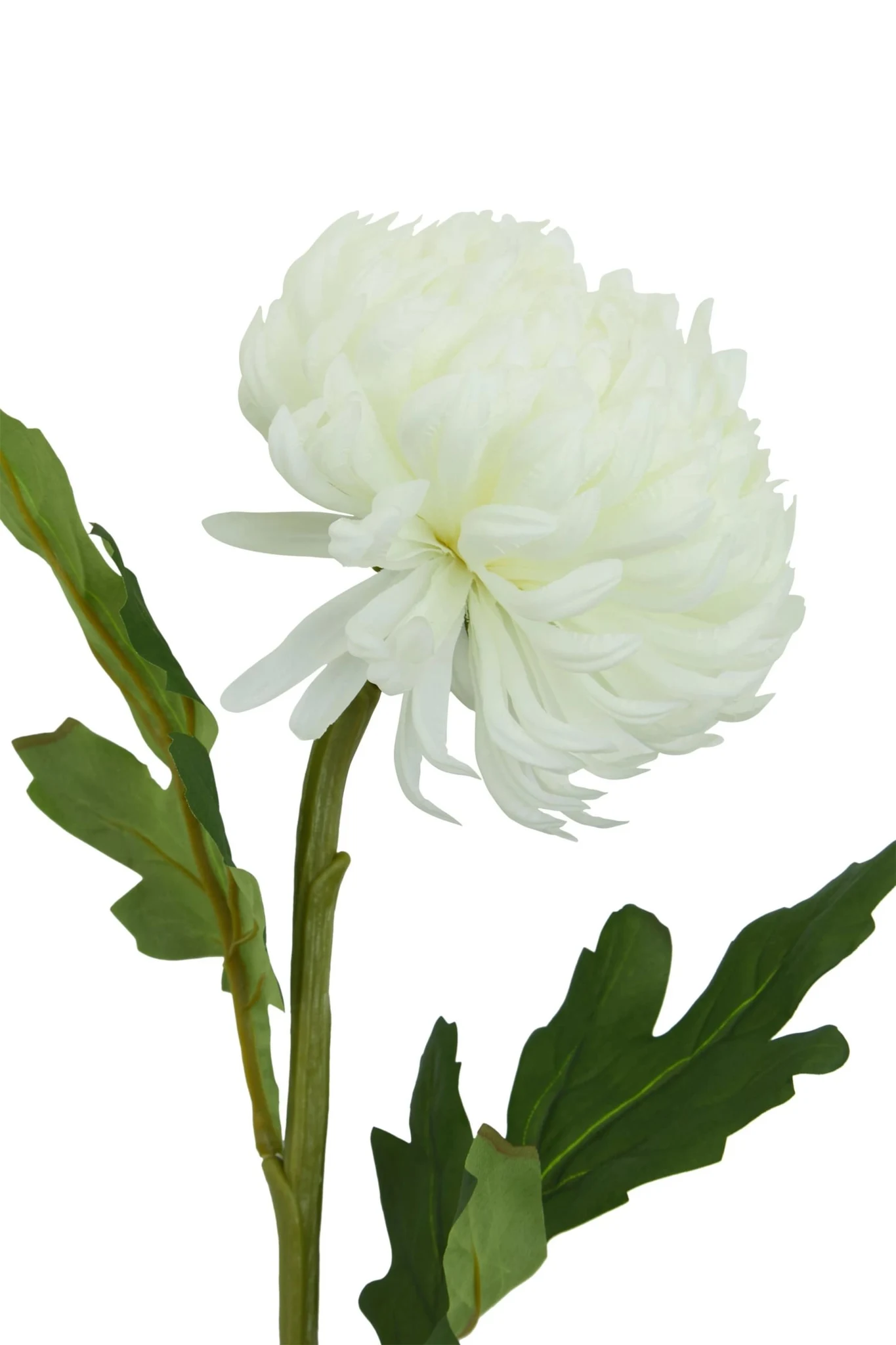 Fiori White Chrysanthemum Flower Stem - Decorative, photo 7 of 8