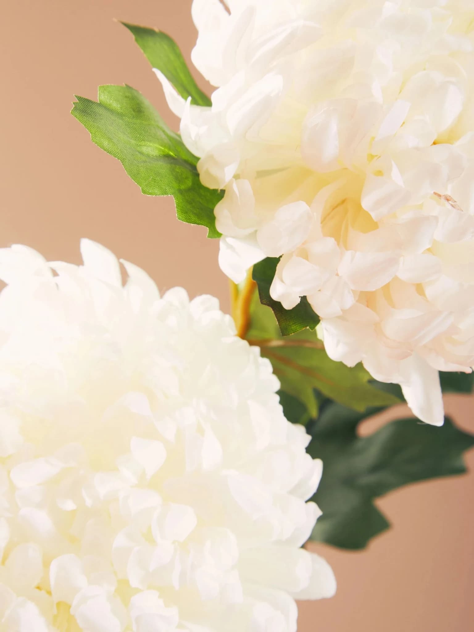 Fiori White Chrysanthemum Flower Stem - Decorative, photo 2 of 8