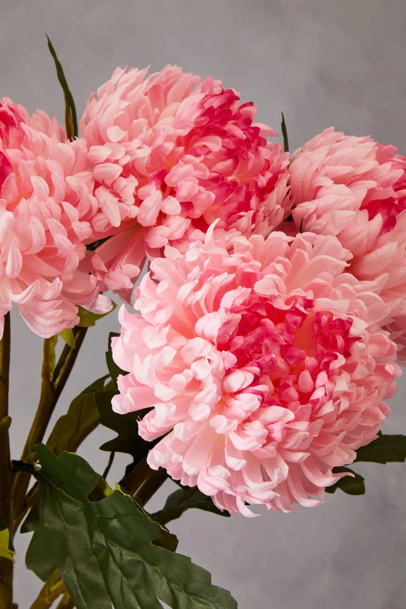 Fiori Pink Chrysanthemum Flower Stem - Decorative, photo 4 of 8