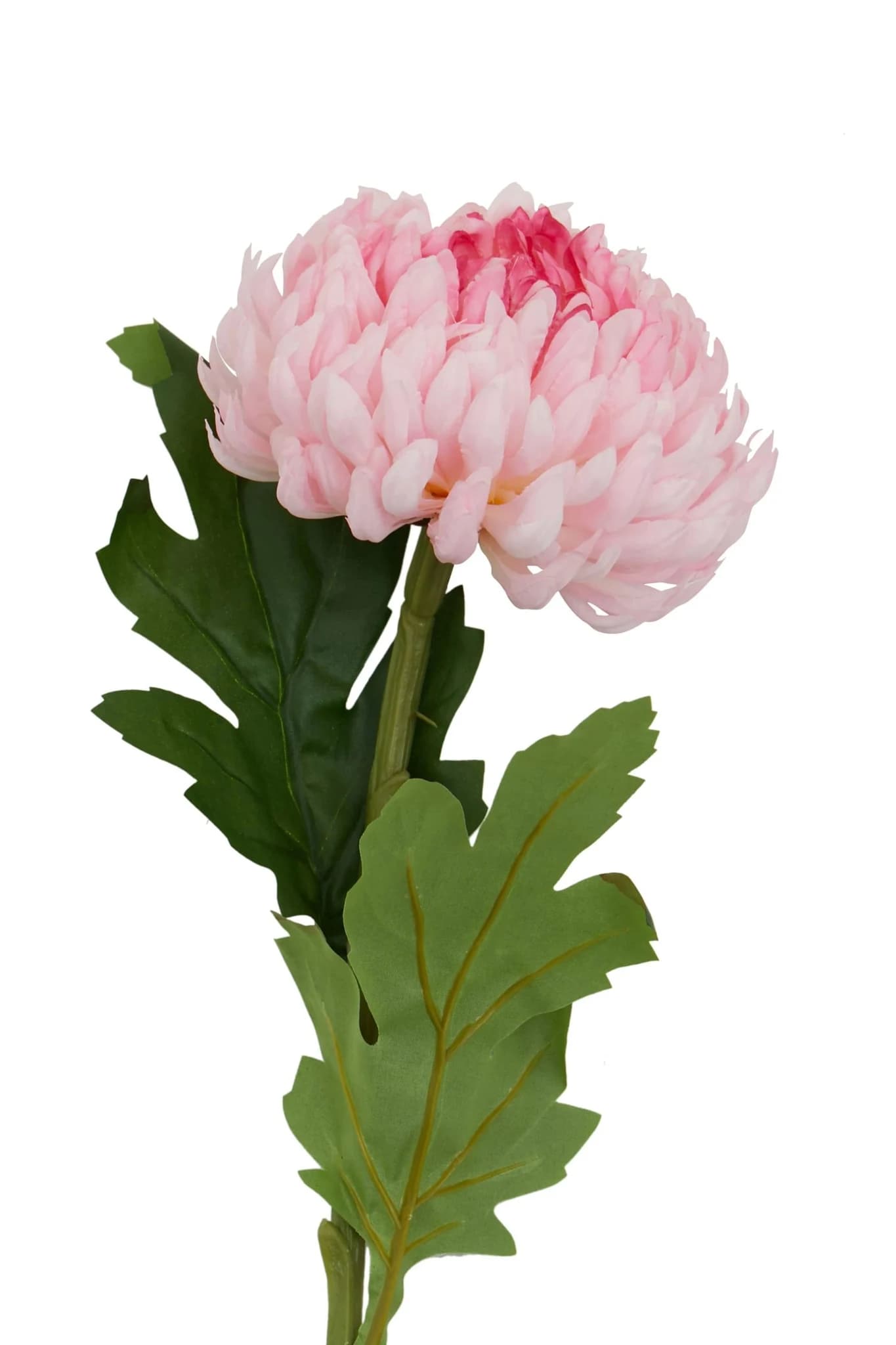 Fiori Pink Chrysanthemum Flower Stem - Decorative, photo 8 of 8
