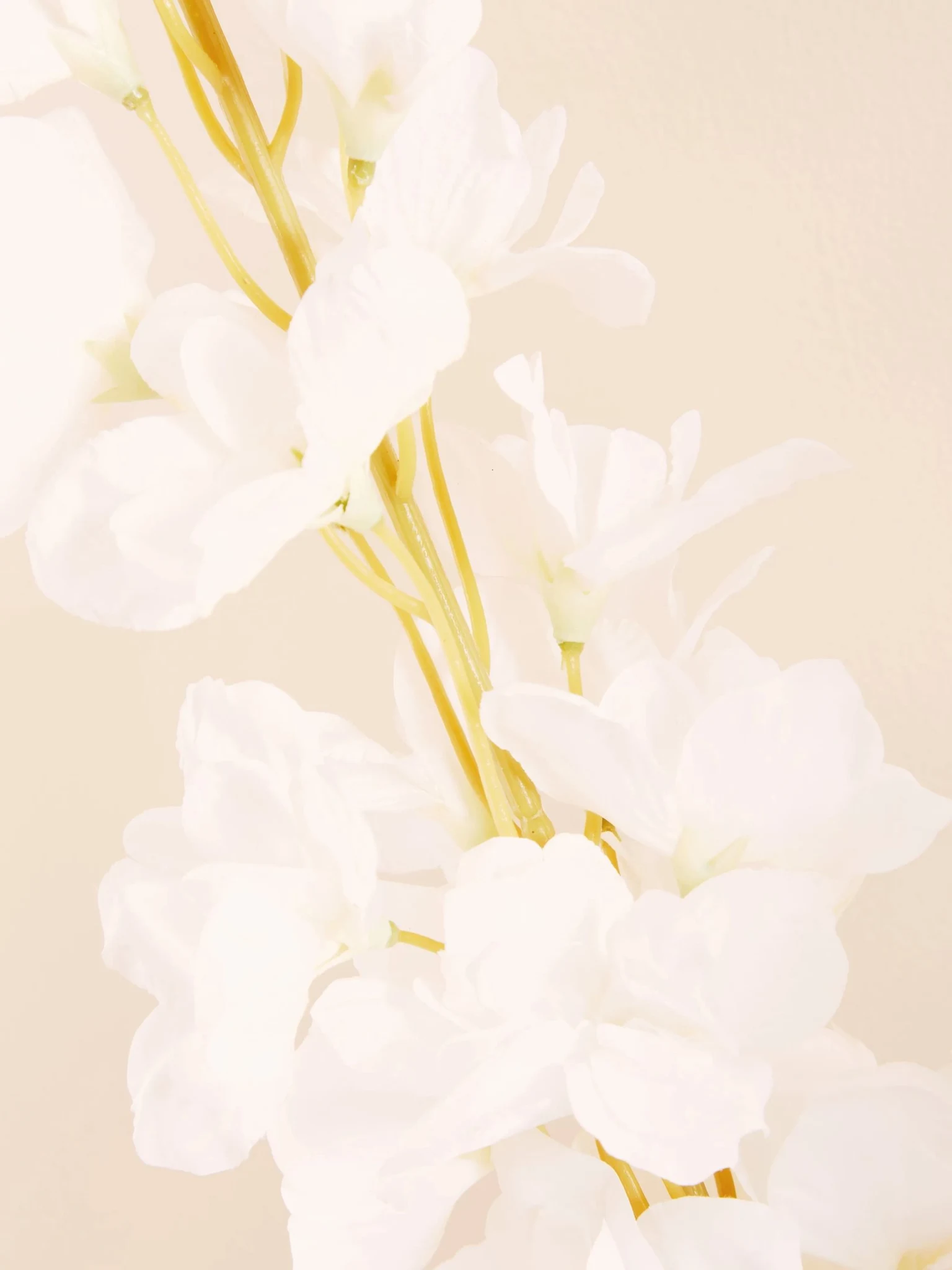 Fiori Tall White Delphinium Flower Stem - Decorative, photo 2 of 8