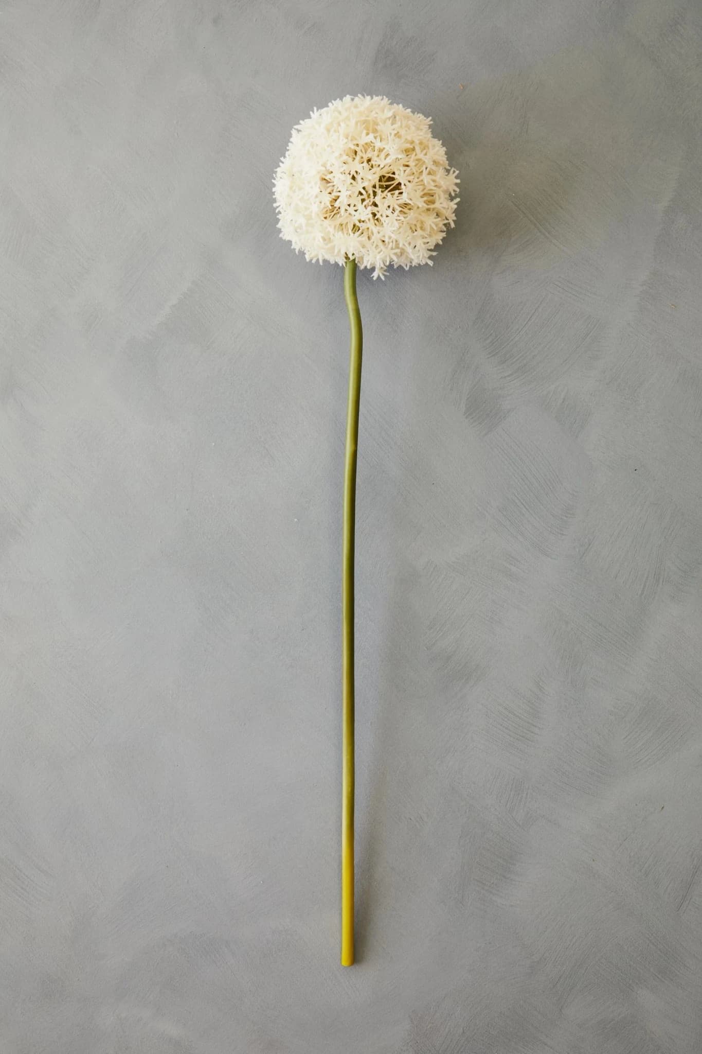 Fiori Ivory Allium Flower Stem - Decorative, photo 4 of 8