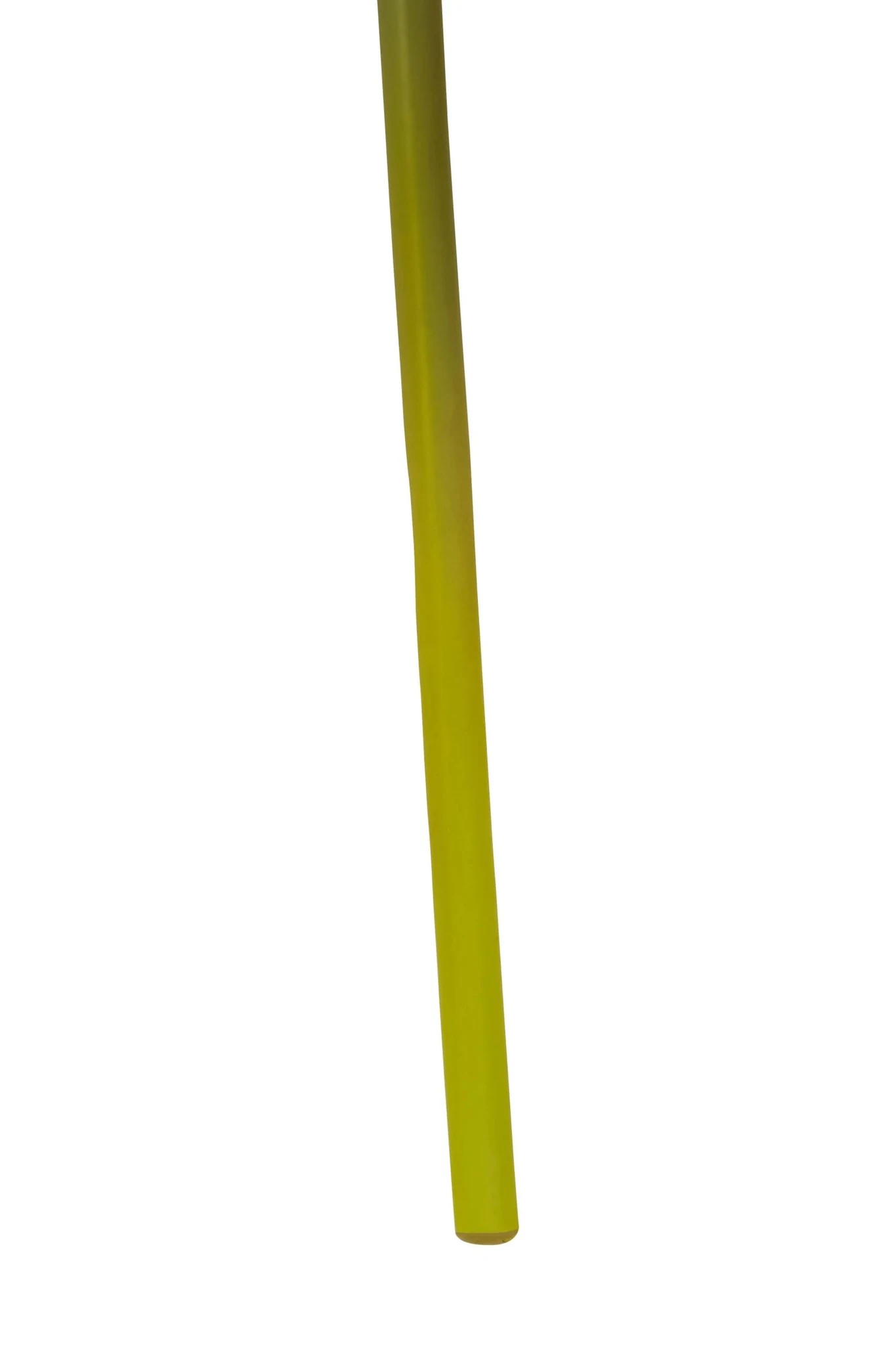 Fiori Ivory Allium Flower Stem - Decorative, photo 7 of 8