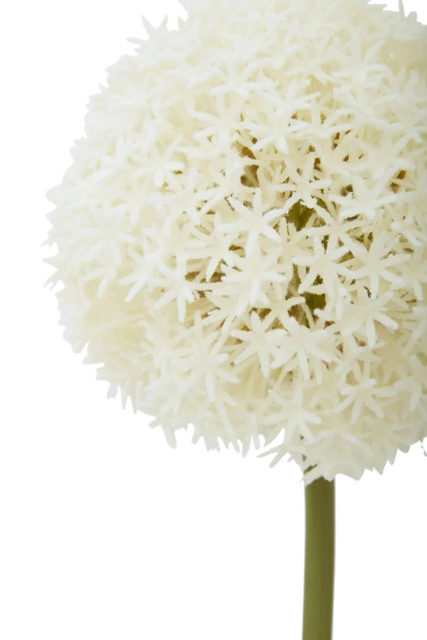 Fiori Ivory Allium Flower Stem - Decorative, photo 6 of 8