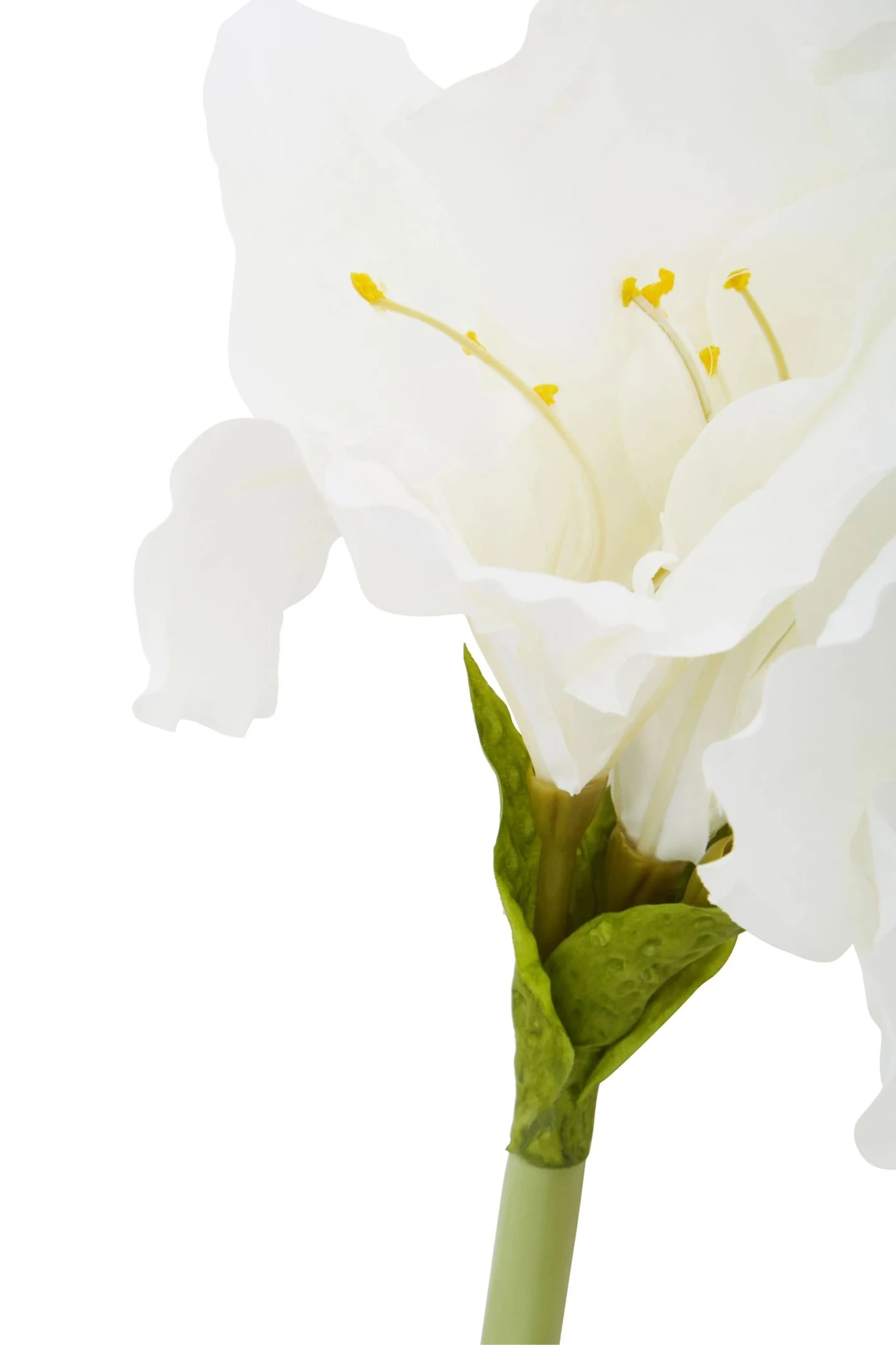 Fiori Ivory Amarylilis Flower Stem - Decorative, photo 7 of 7