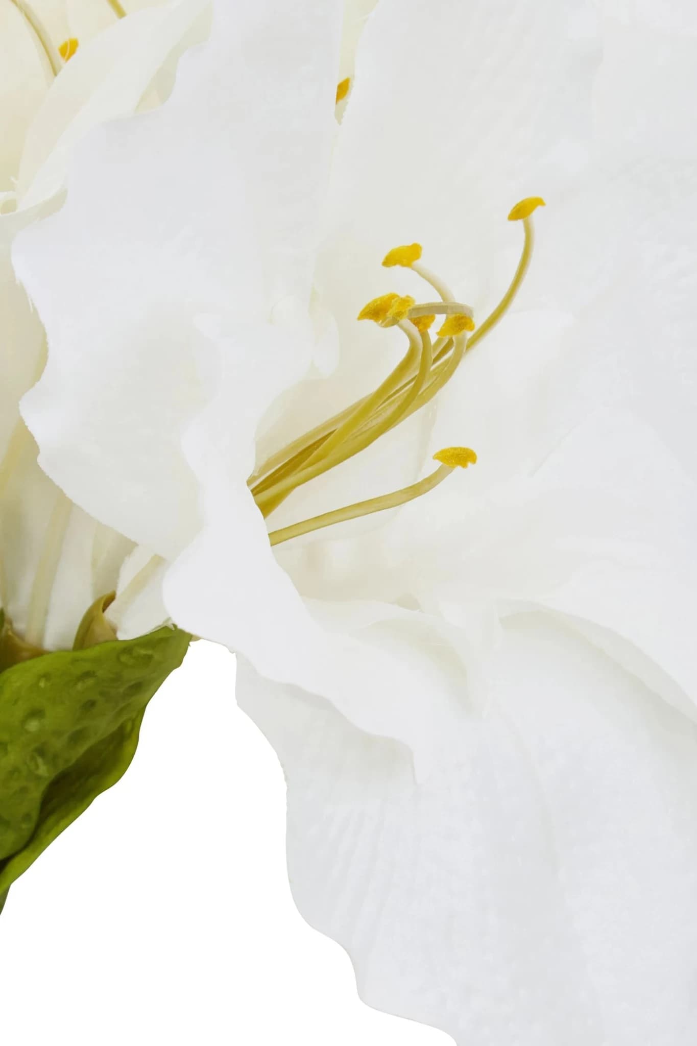 Fiori Ivory Amarylilis Flower Stem - Decorative, photo 3 of 7