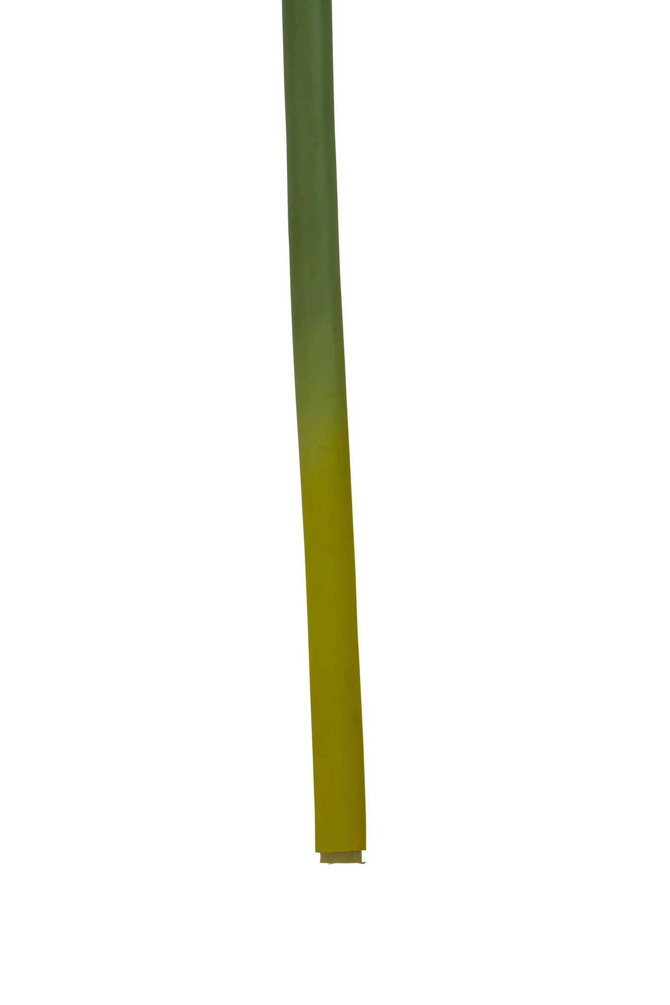 Fiori Burgundy Amarylilis Flower Stem - Decorative, photo 5 of 7