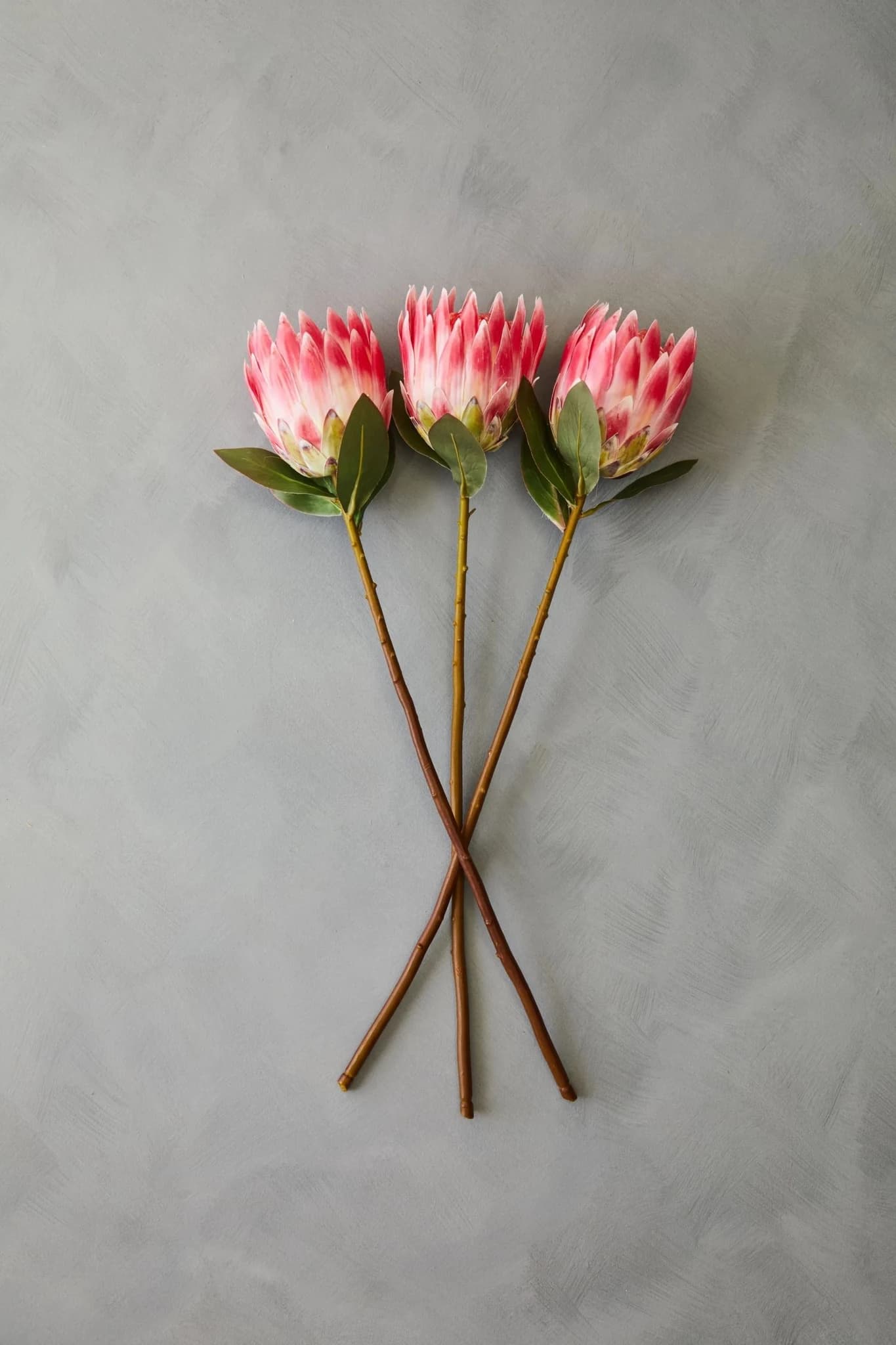 Fiori Pink Protea Flower Stem - Decorative, photo 3 of 7