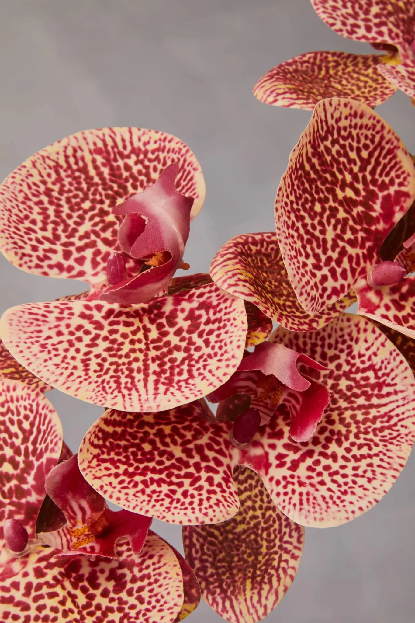 Fiori Tall Pink Orchid Spray Flower Stem - Decorative, photo 6 of 8
