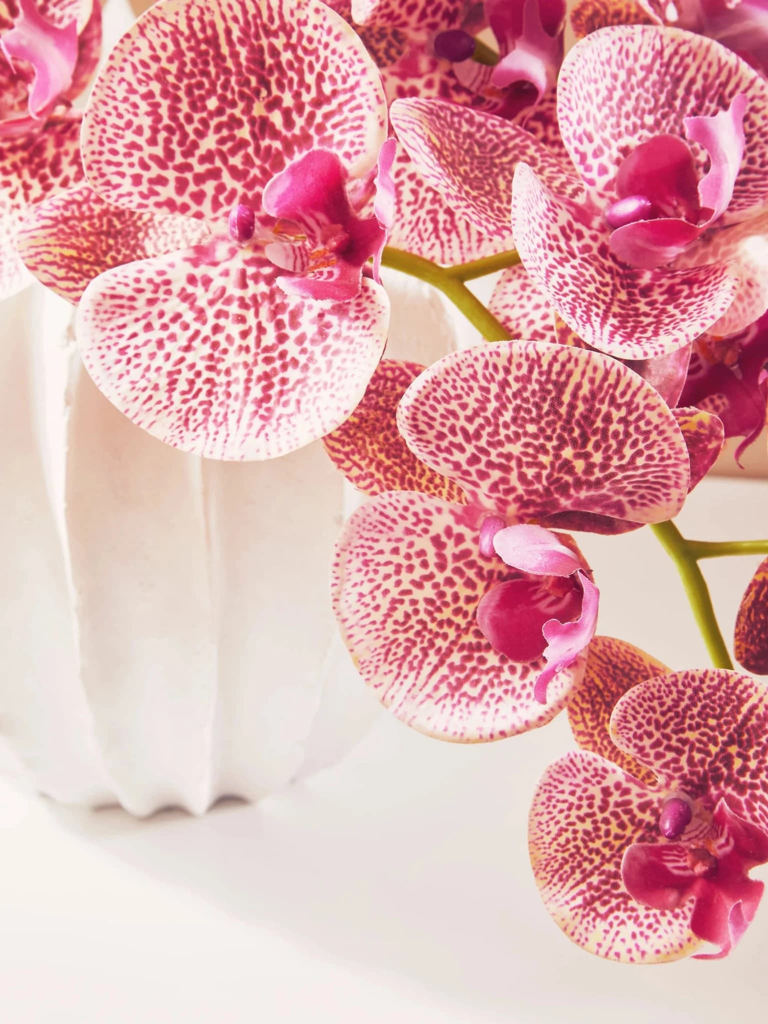 Fiori Tall Pink Orchid Spray Flower Stem - Decorative, photo 3 of 8