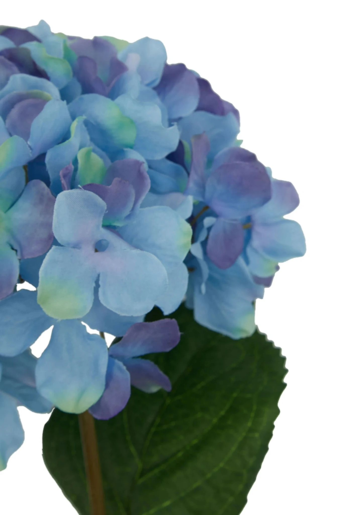 Fiori Blue Hydrangea Flower Stem - Decorative, photo 7 of 8